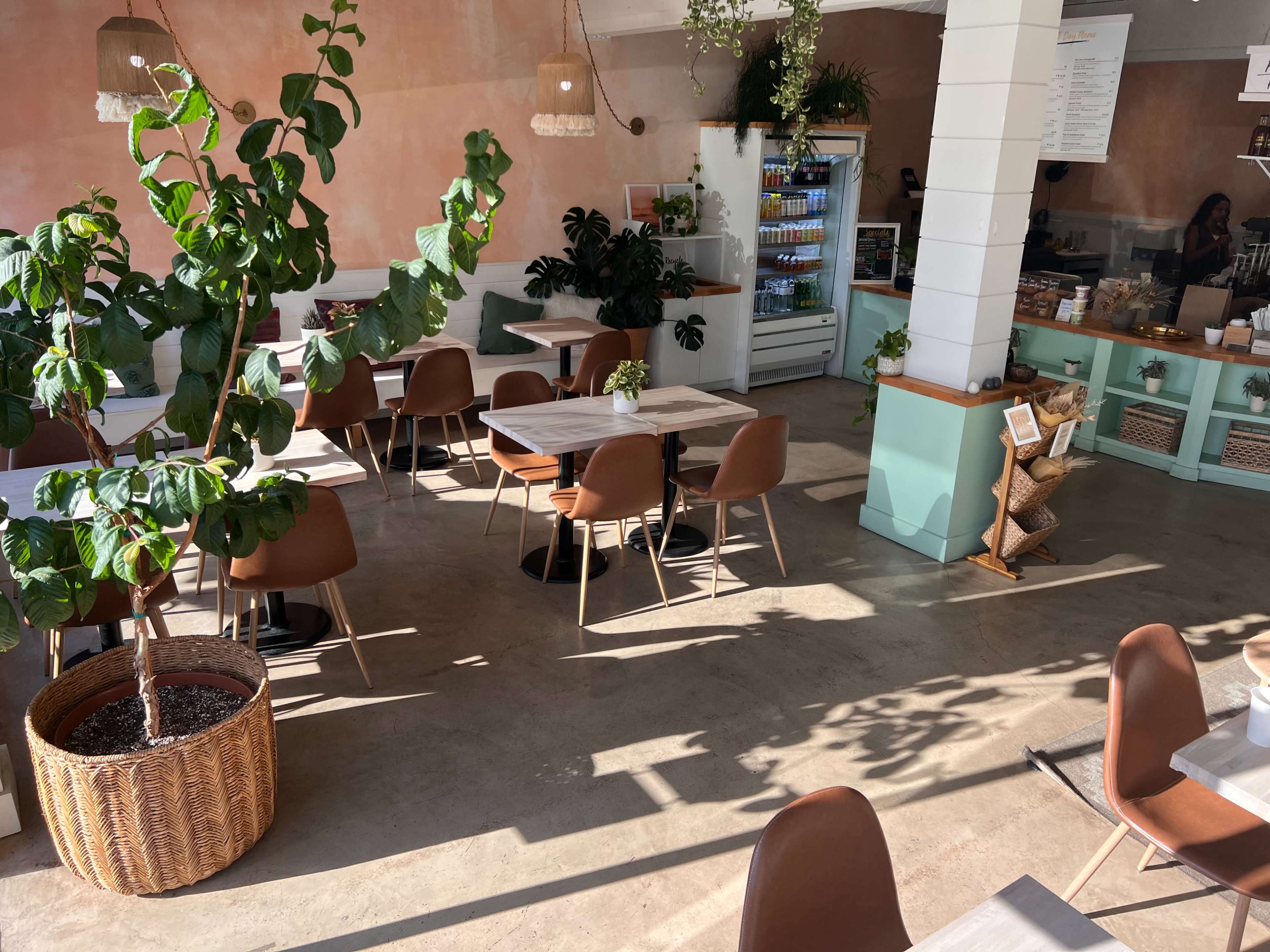 A cafe interior featuring wooden tables, brown chairs, potted plants, and large windows allowing sunlight to illuminate the space.