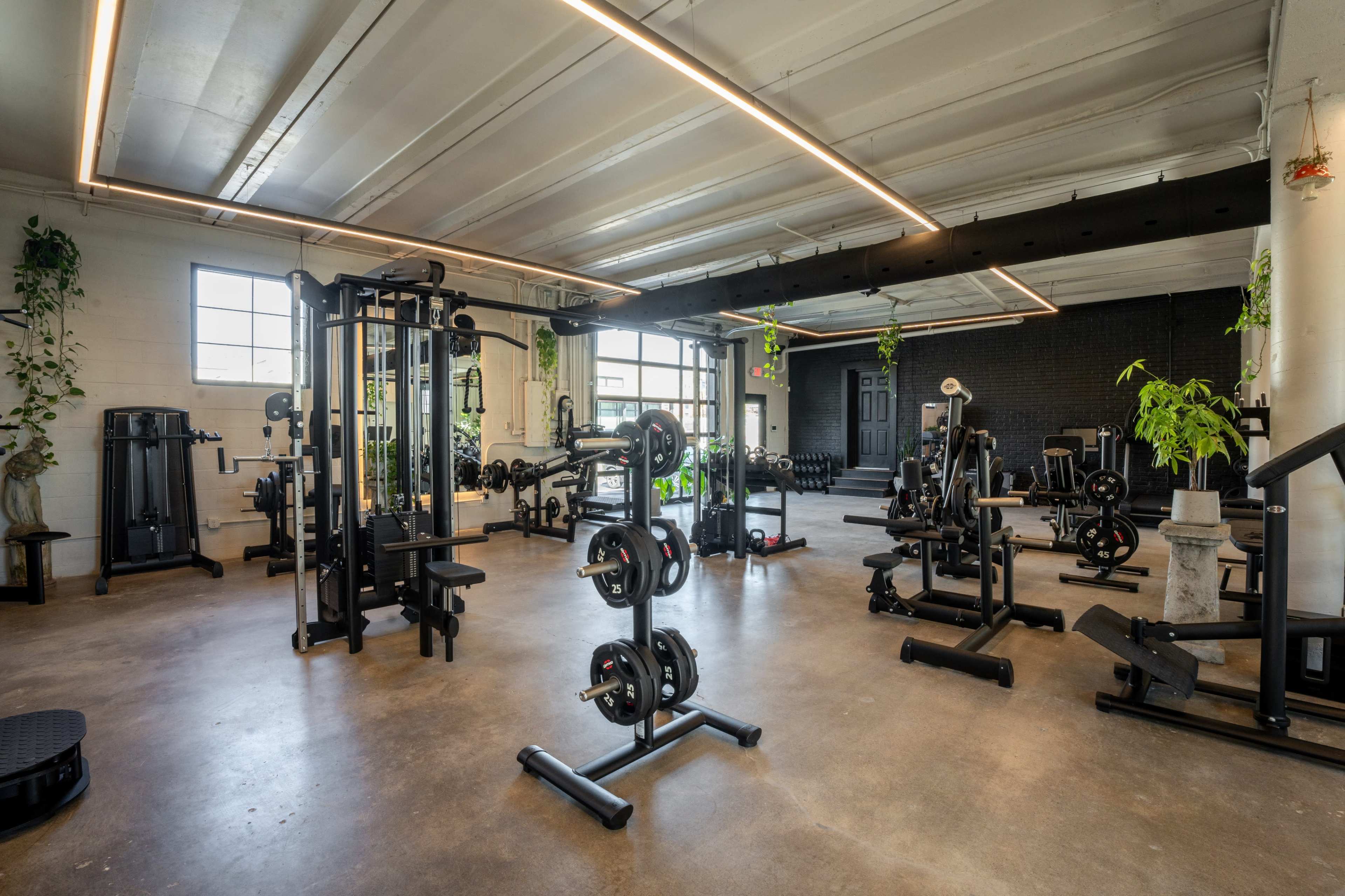 A modern gym interior with various exercise machines and weights, illuminated by overhead lighting.
