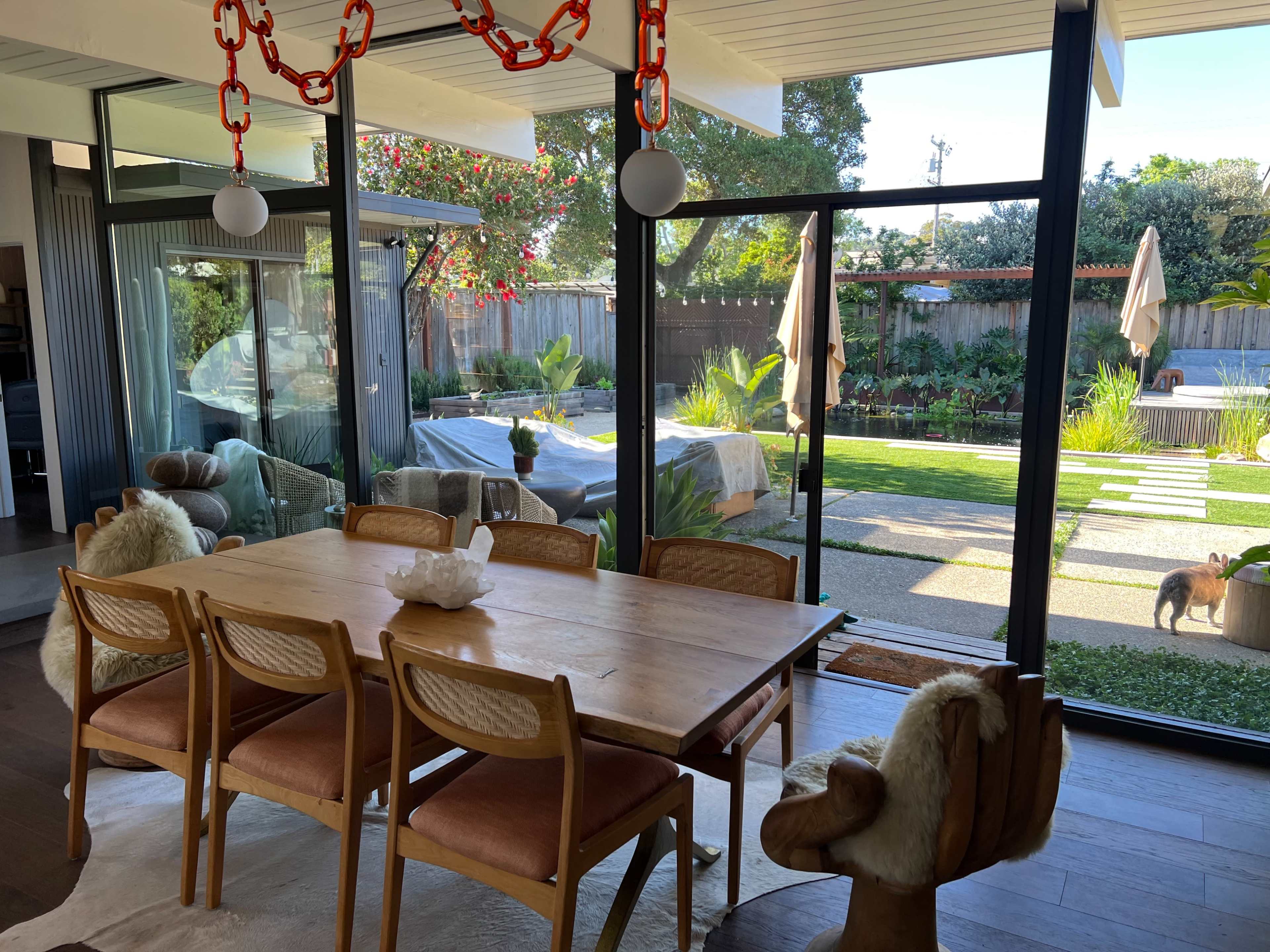 Mid-Century Modern Retreat Featuring A Natural Swimming Pool Image in San Rafael, San Rafael, CA