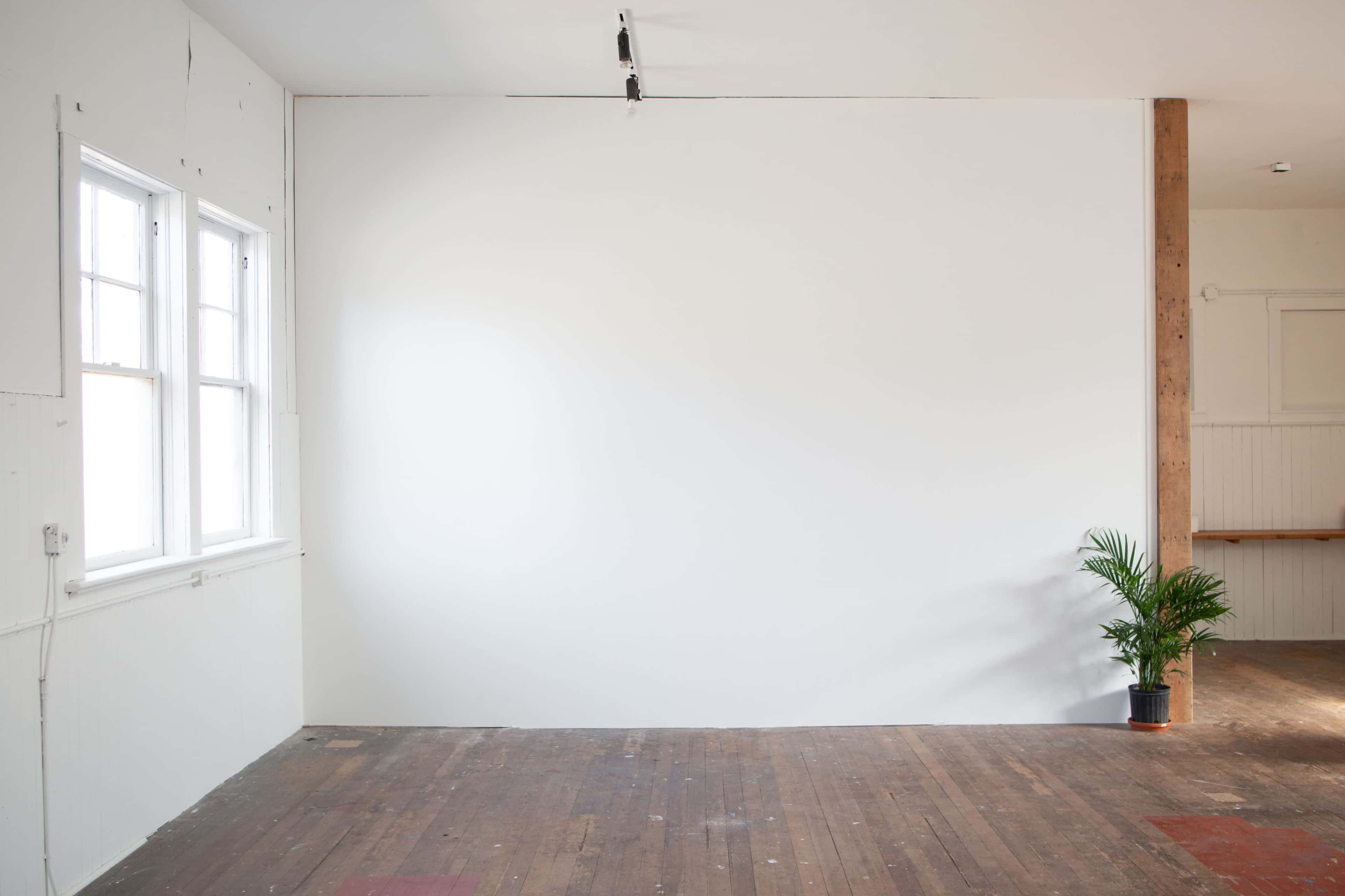 An empty room features a blank white wall, wooden flooring, a small potted plant, and large windows.