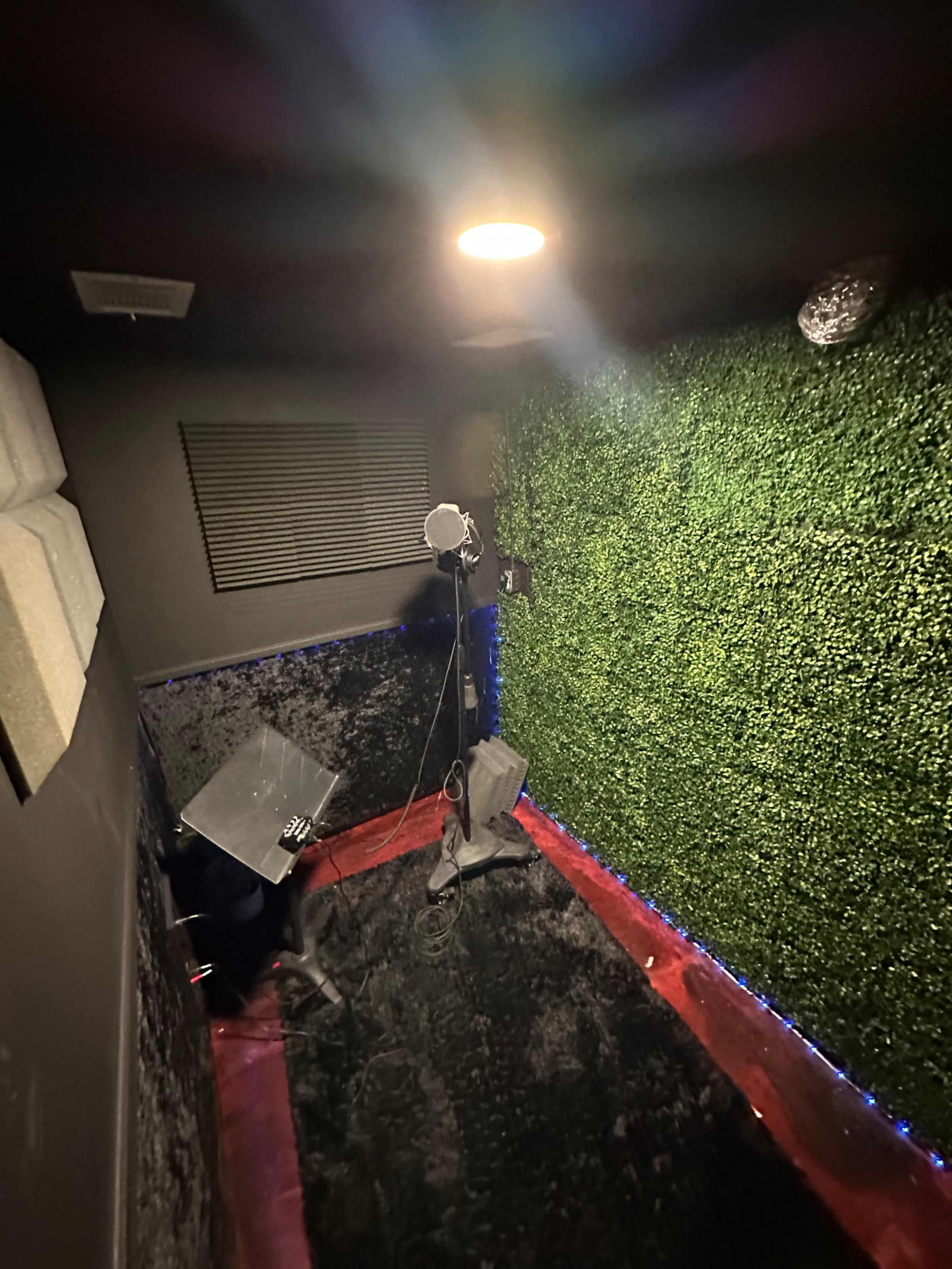 The image shows a small, enclosed room with artificial grass walls, a microphone on a stand, and a chair on a black carpeted floor.
