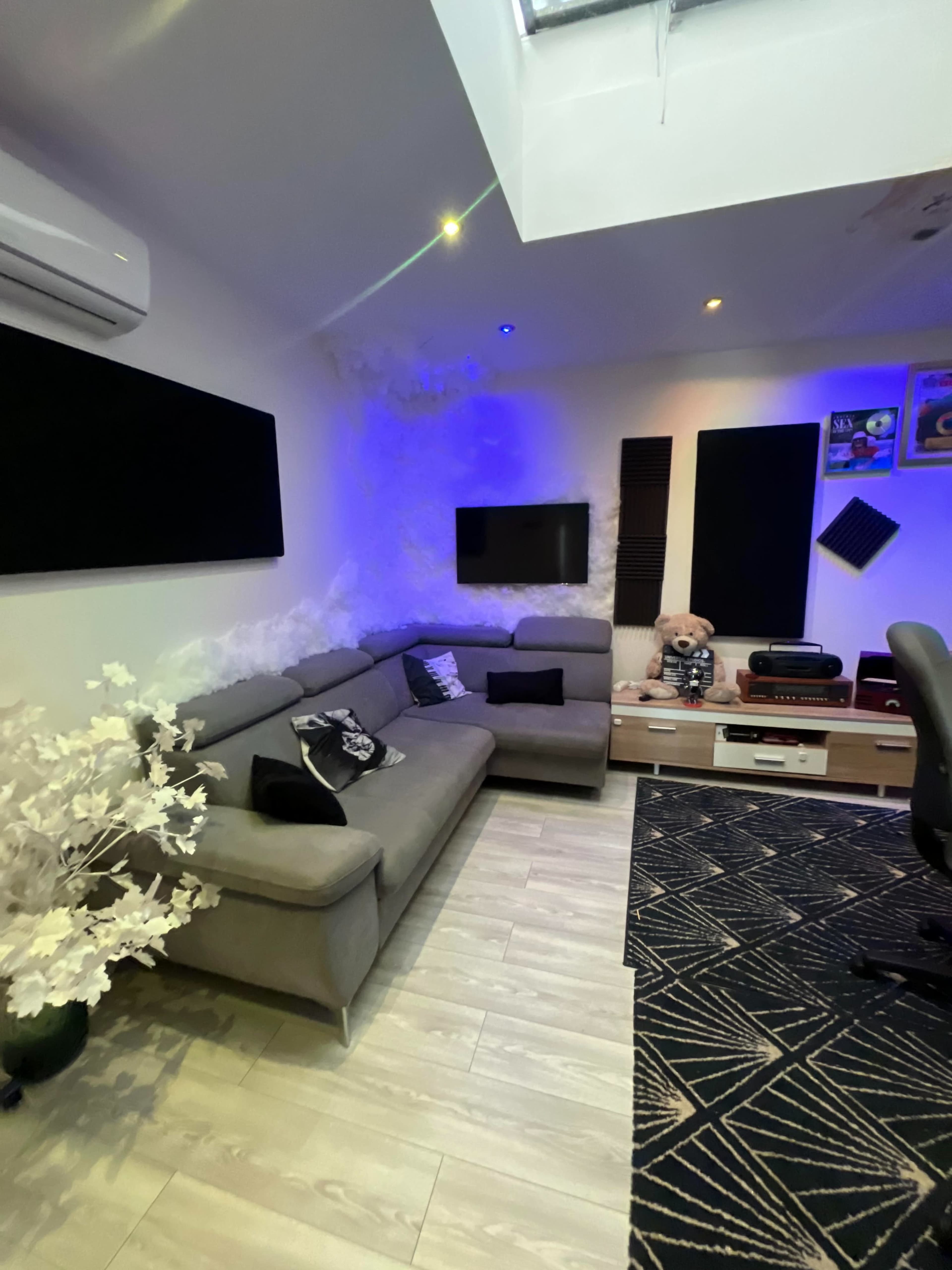 A modern living room with a gray sectional sofa, wall-mounted televisions, and a decorative plant, all set against a patterned rug and illuminated by soft lighting.