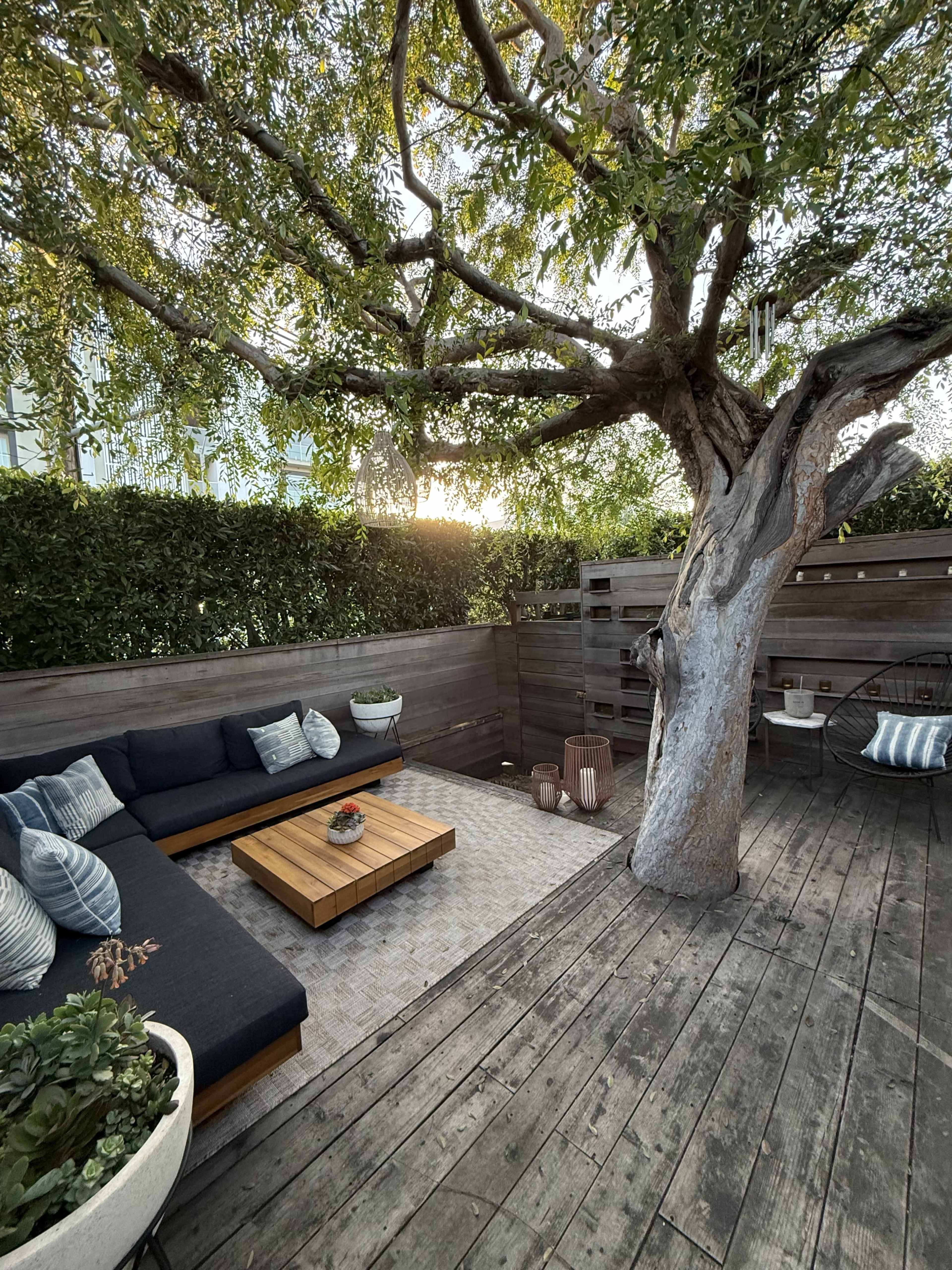 A wooden patio features a dark sofa set with patterned cushions, a coffee table, and a large tree providing shade, all framed by greenery and soft evening light.