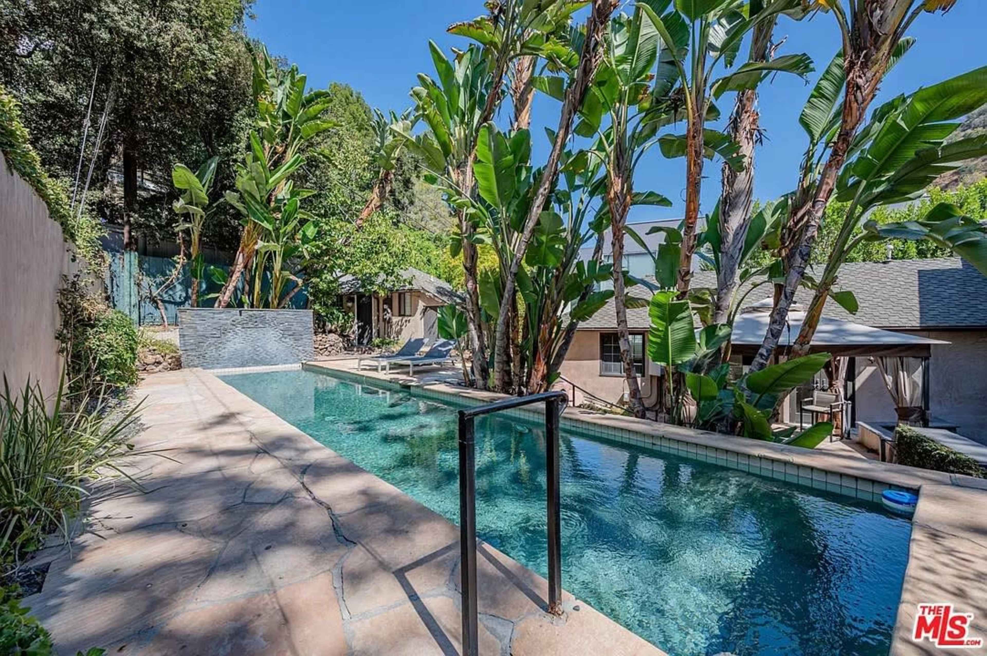 A long swimming pool surrounded by tall green plants and a residential area in the background.