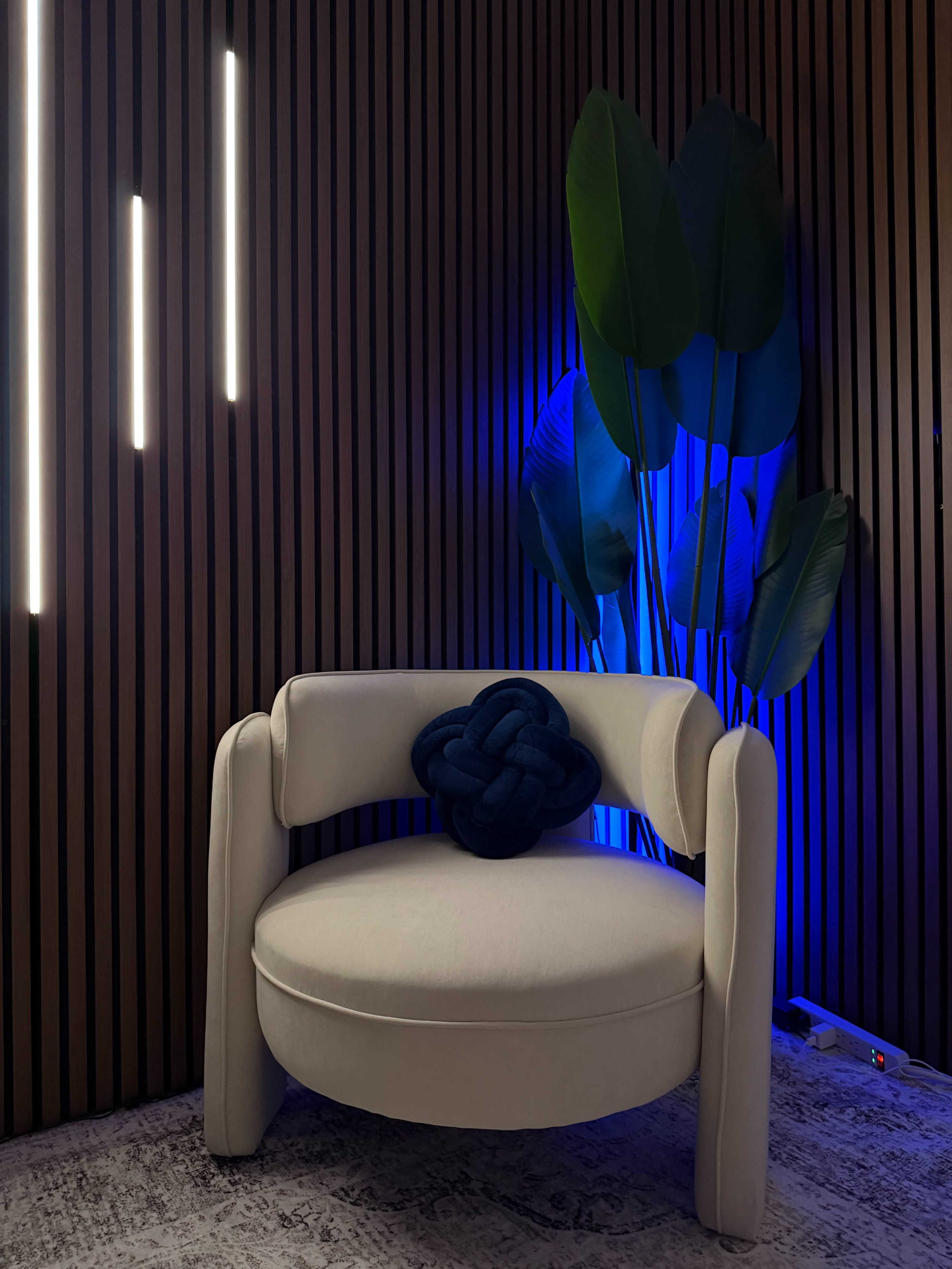 Natural and Artificial Lighting Podcast Set Image in Astoria, Long Island City, NY