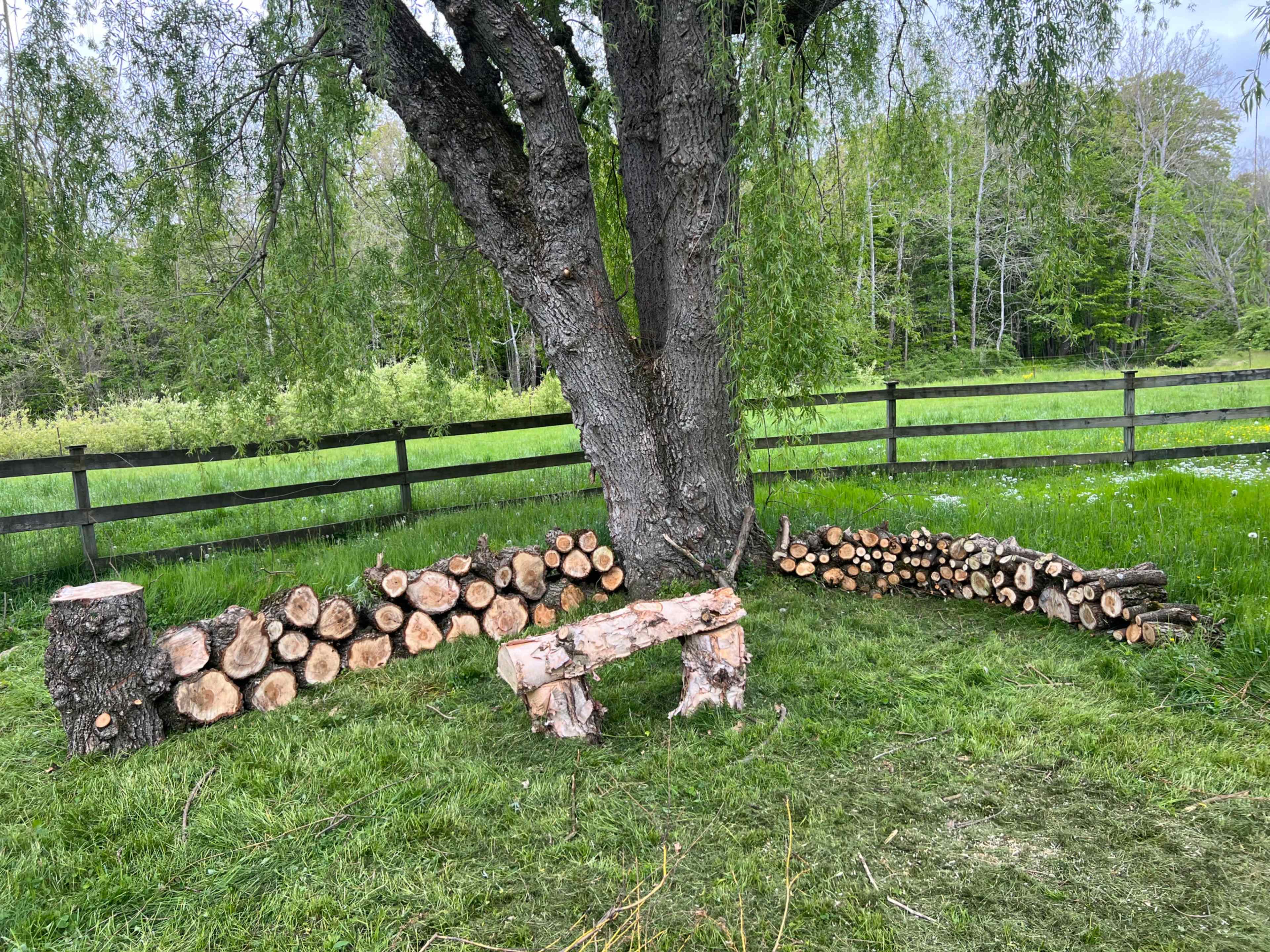 A tree with a wide trunk stands next to a semicircular arrangement of stacked logs and a horizontal log bench on a grassy area, bordered by a wooden fence.