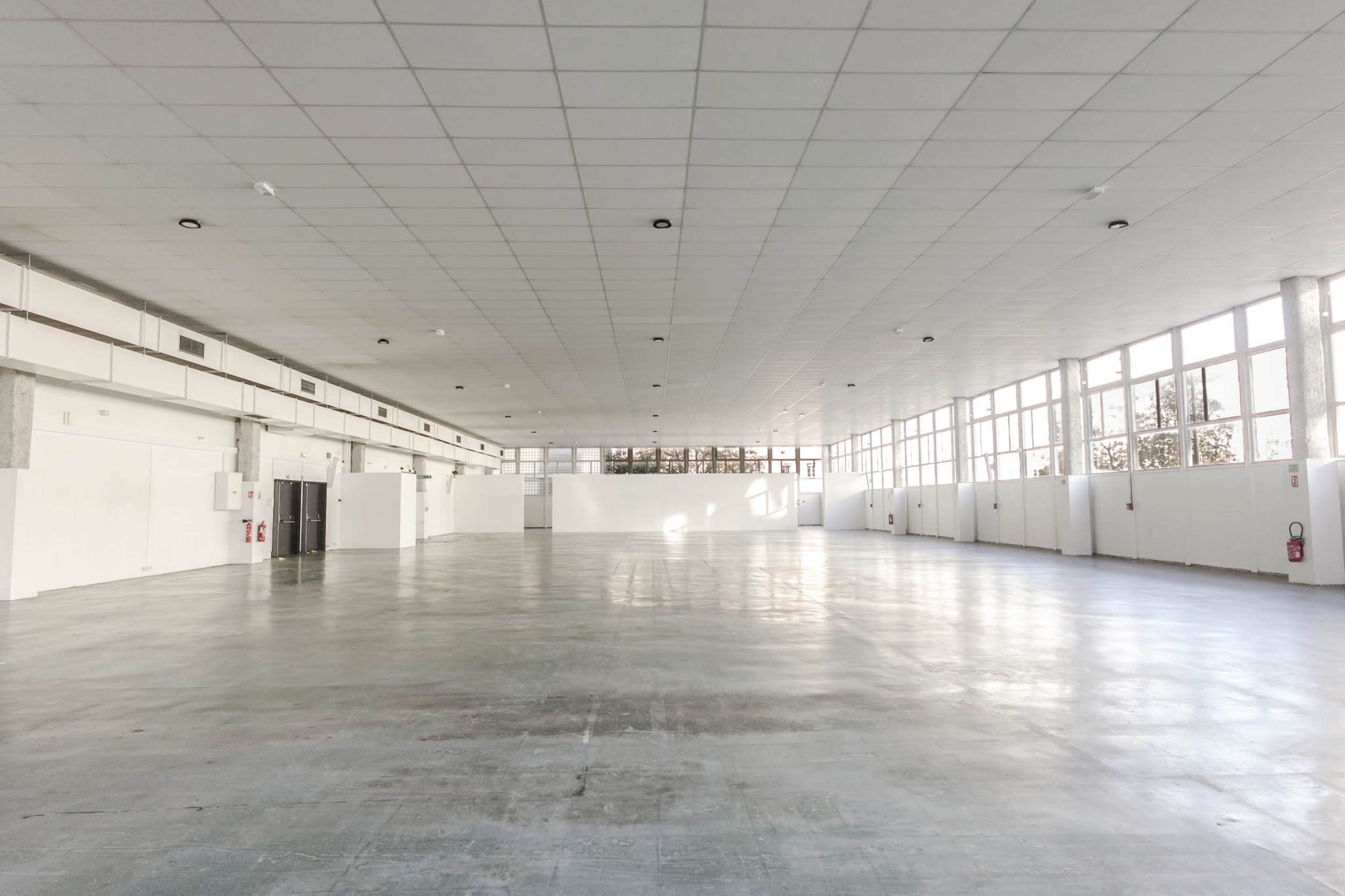 Plateau de 1000 m2 au coeur du 5è arrondissement de Paris Image in Jardin des Plantes, Paris