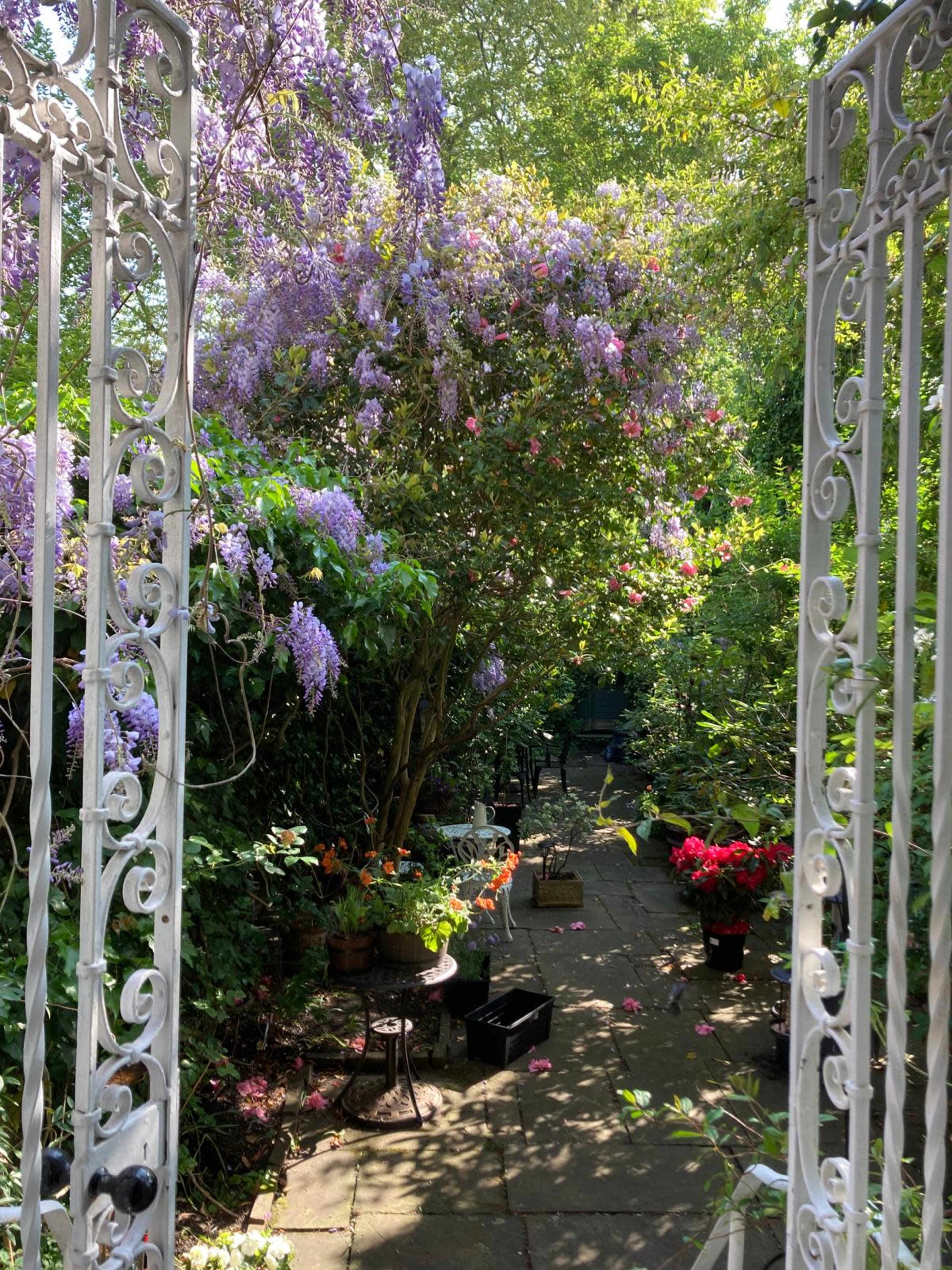 A garden entrance framed by ornate white gates leads into a lush pathway lined with potted plants and vibrant flowering trees.