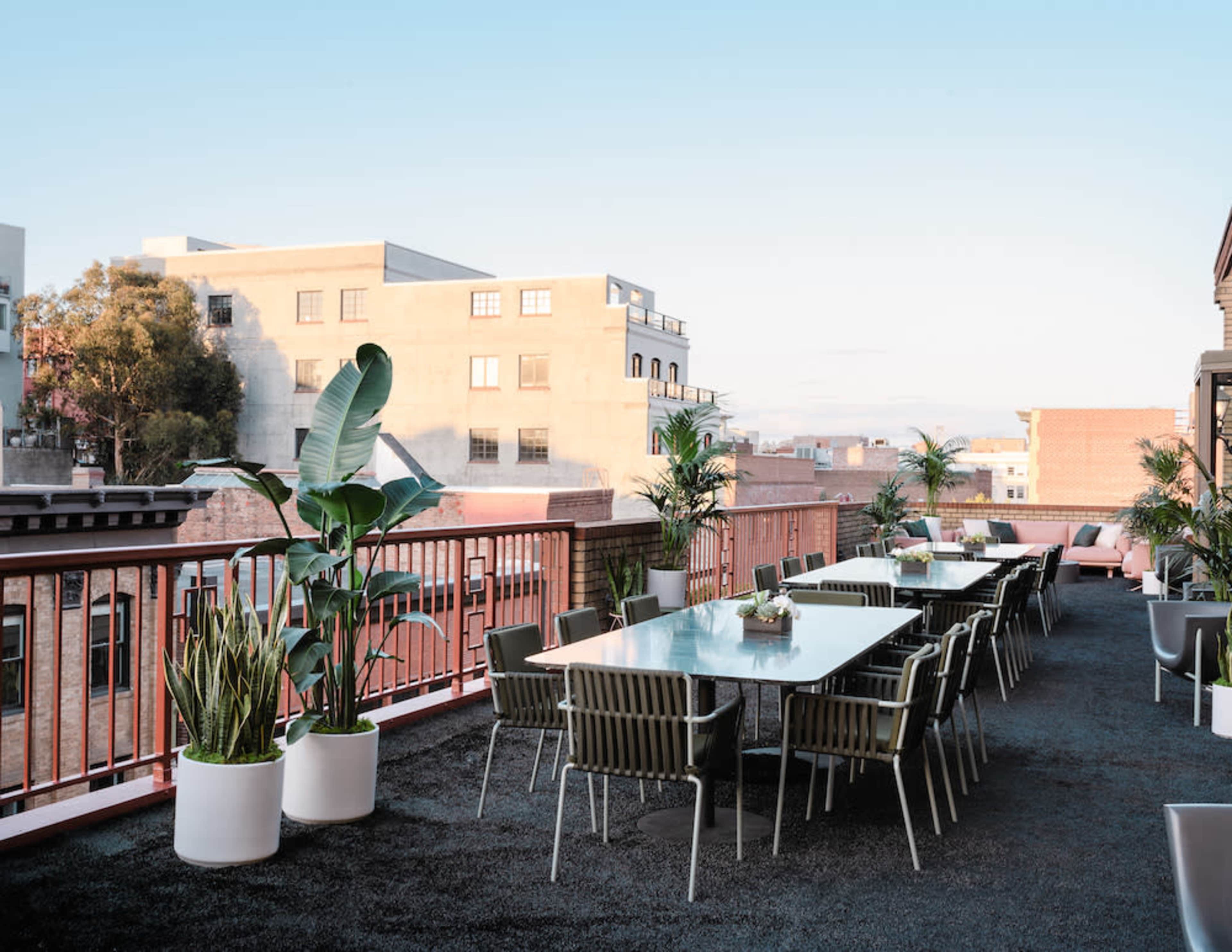 A rooftop terrace features several dining tables surrounded by potted plants and a view of buildings in the background.