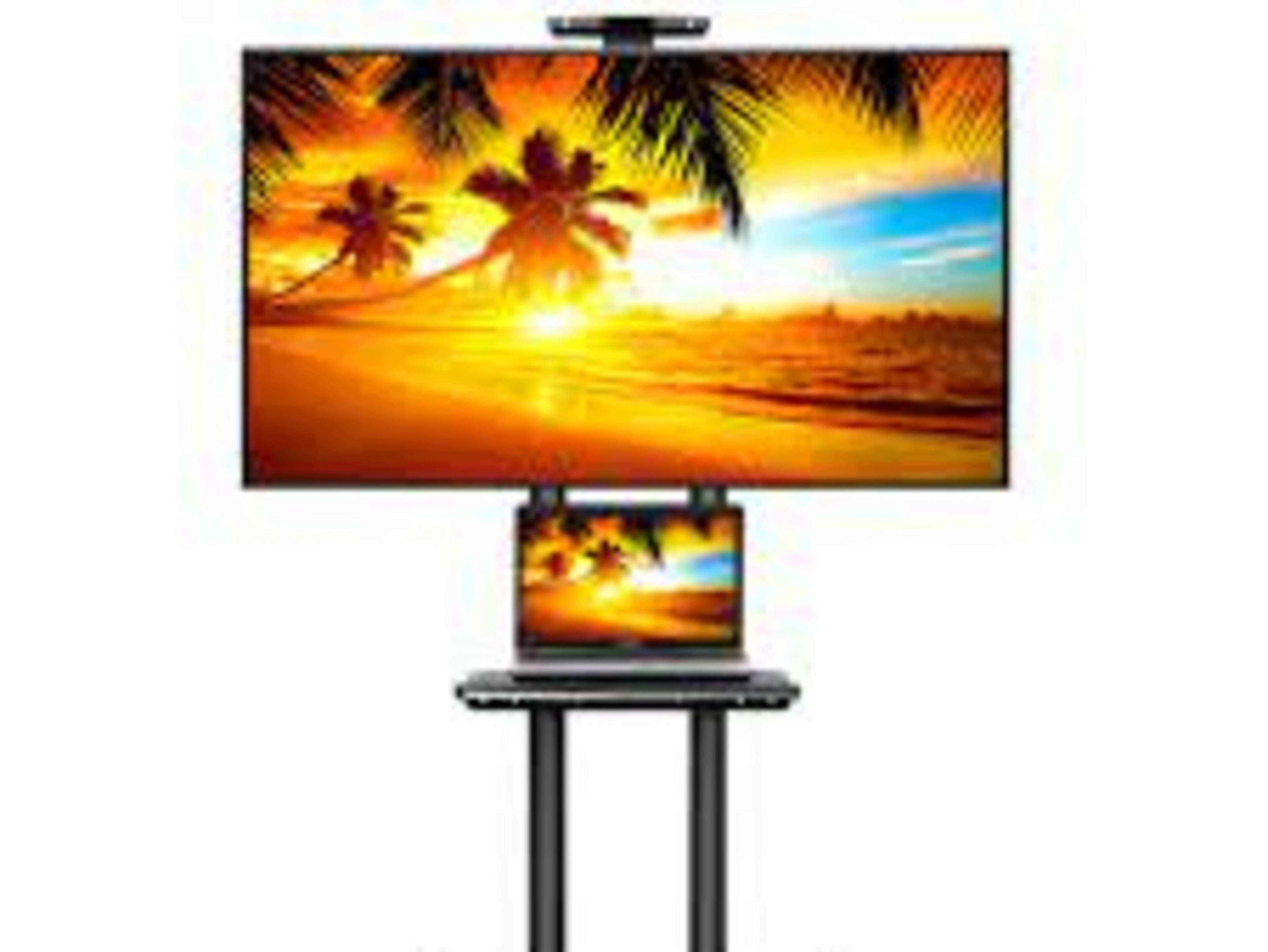 55" TCL Smart TV on Rolling Cart