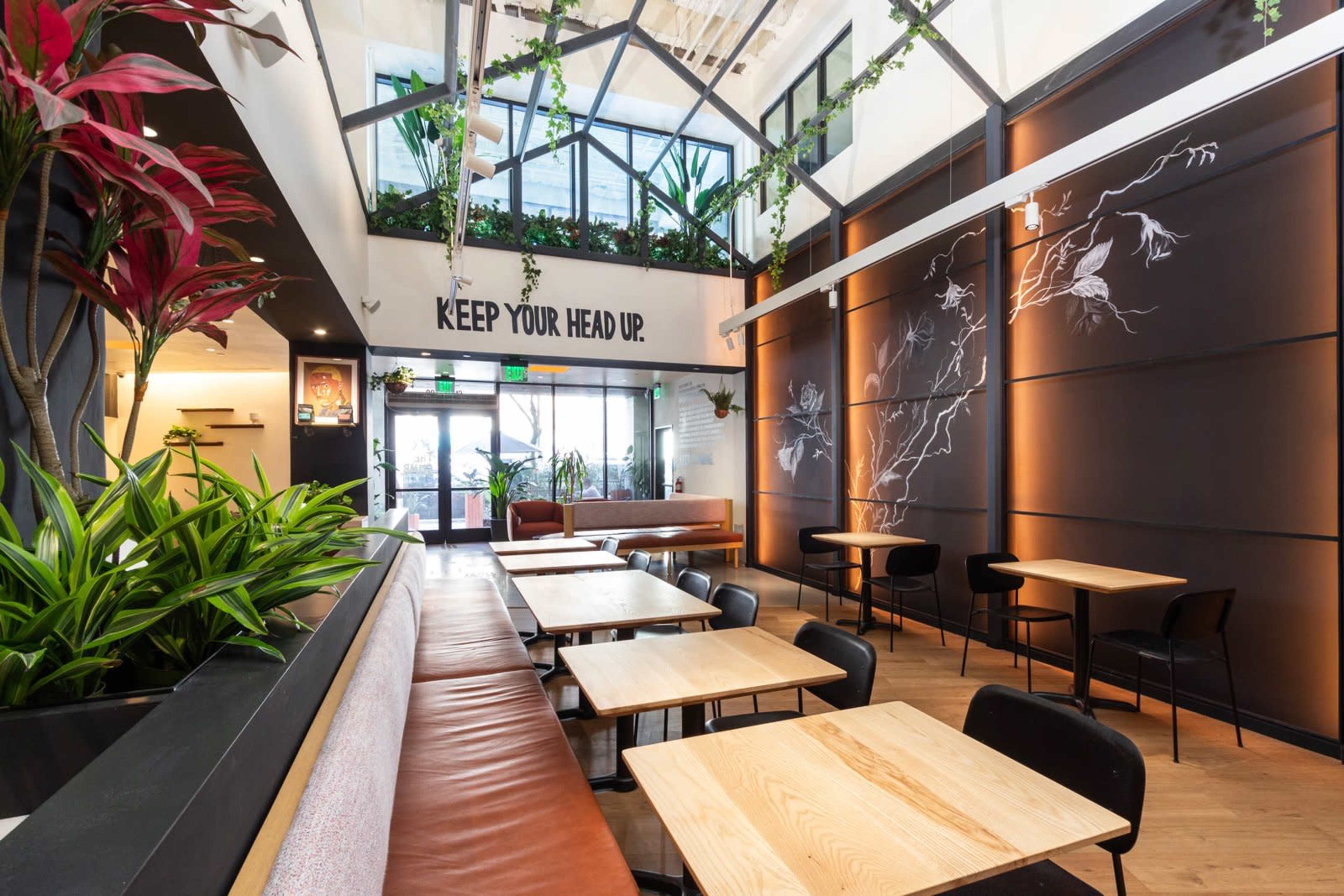 A modern cafe features large windows, wooden tables, and plants throughout the space.