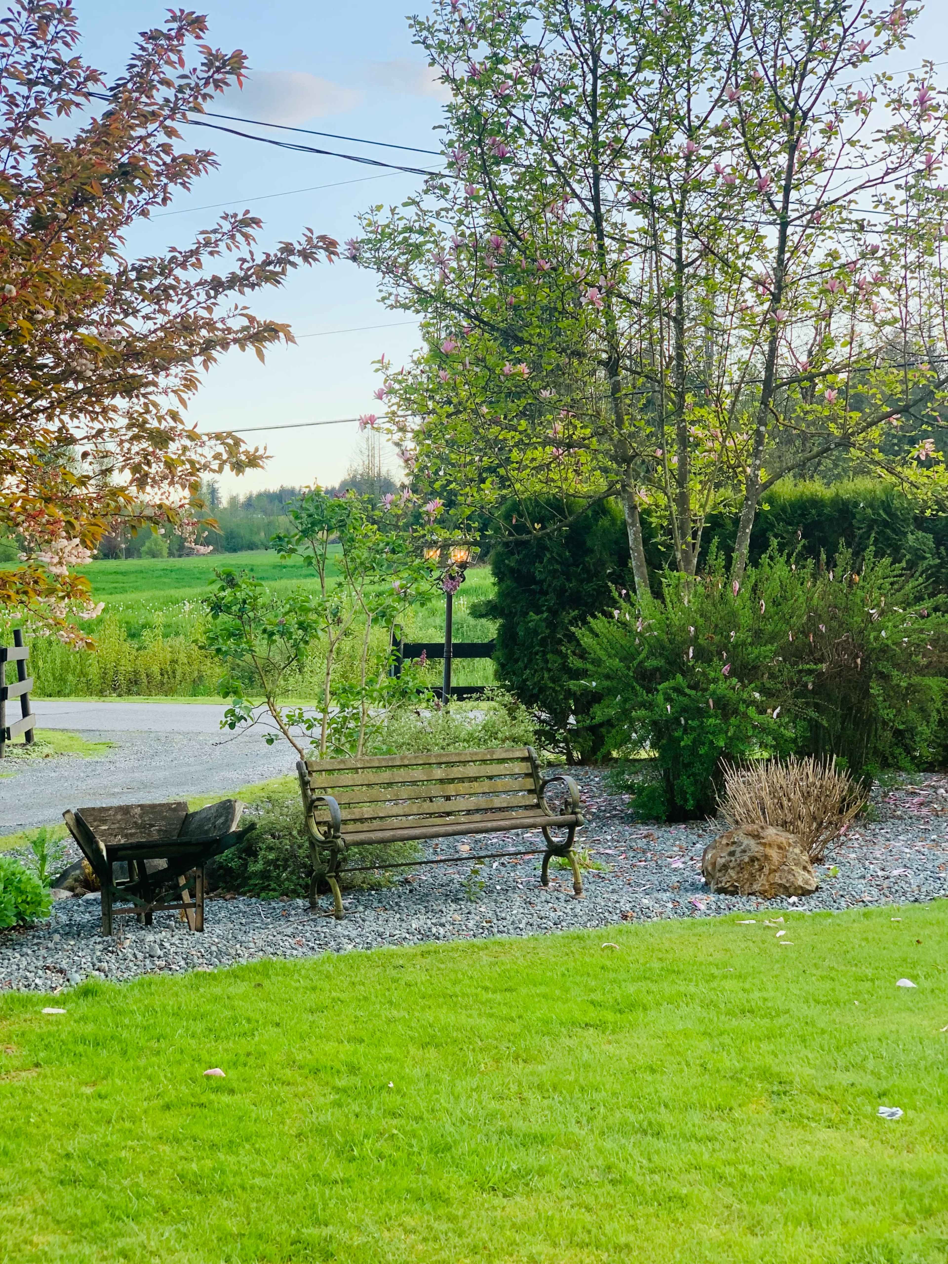 A wooden bench and a chair are positioned on a gravel area surrounded by greenery and flowering trees.
