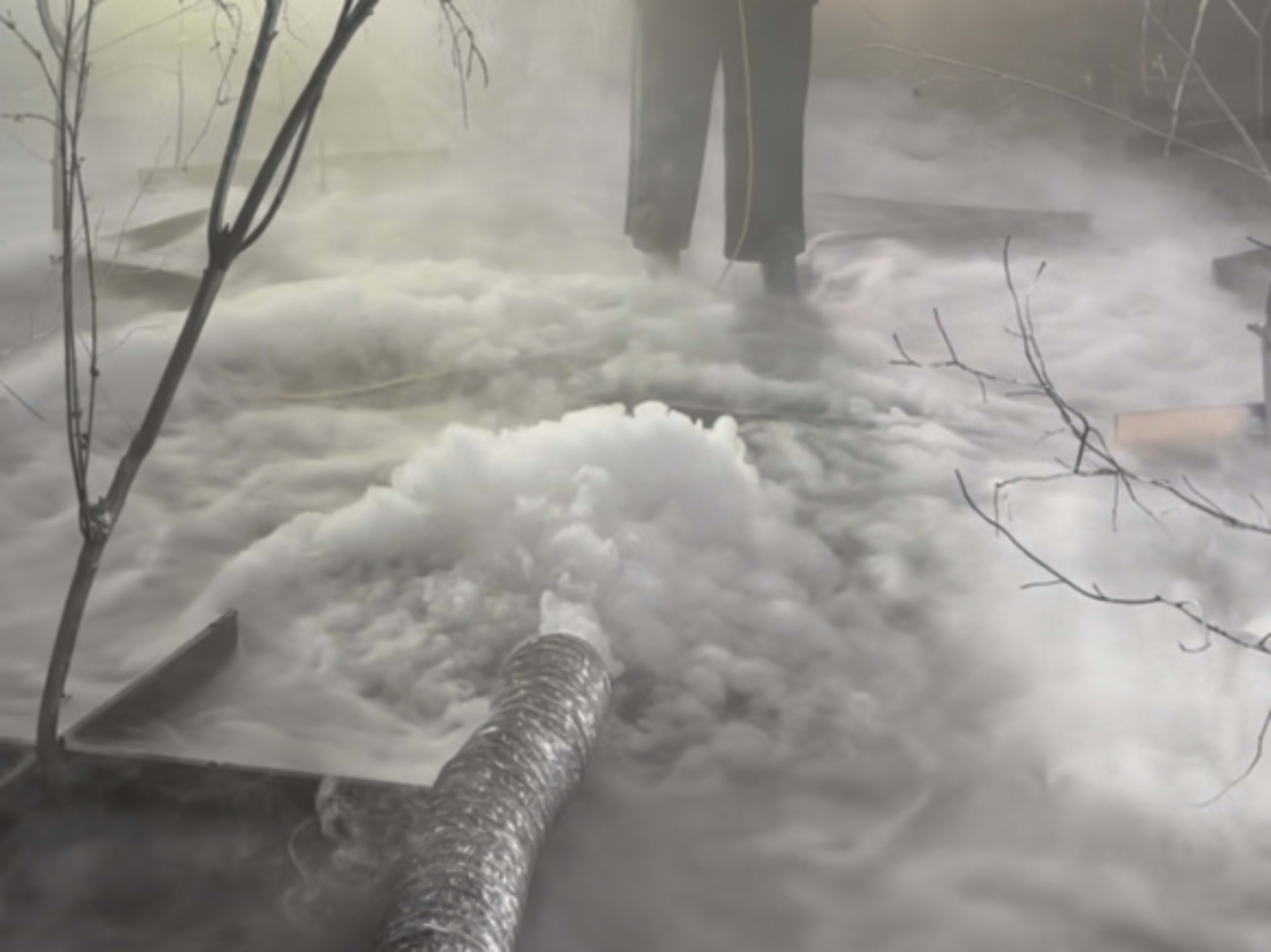 Low Lying Fog 