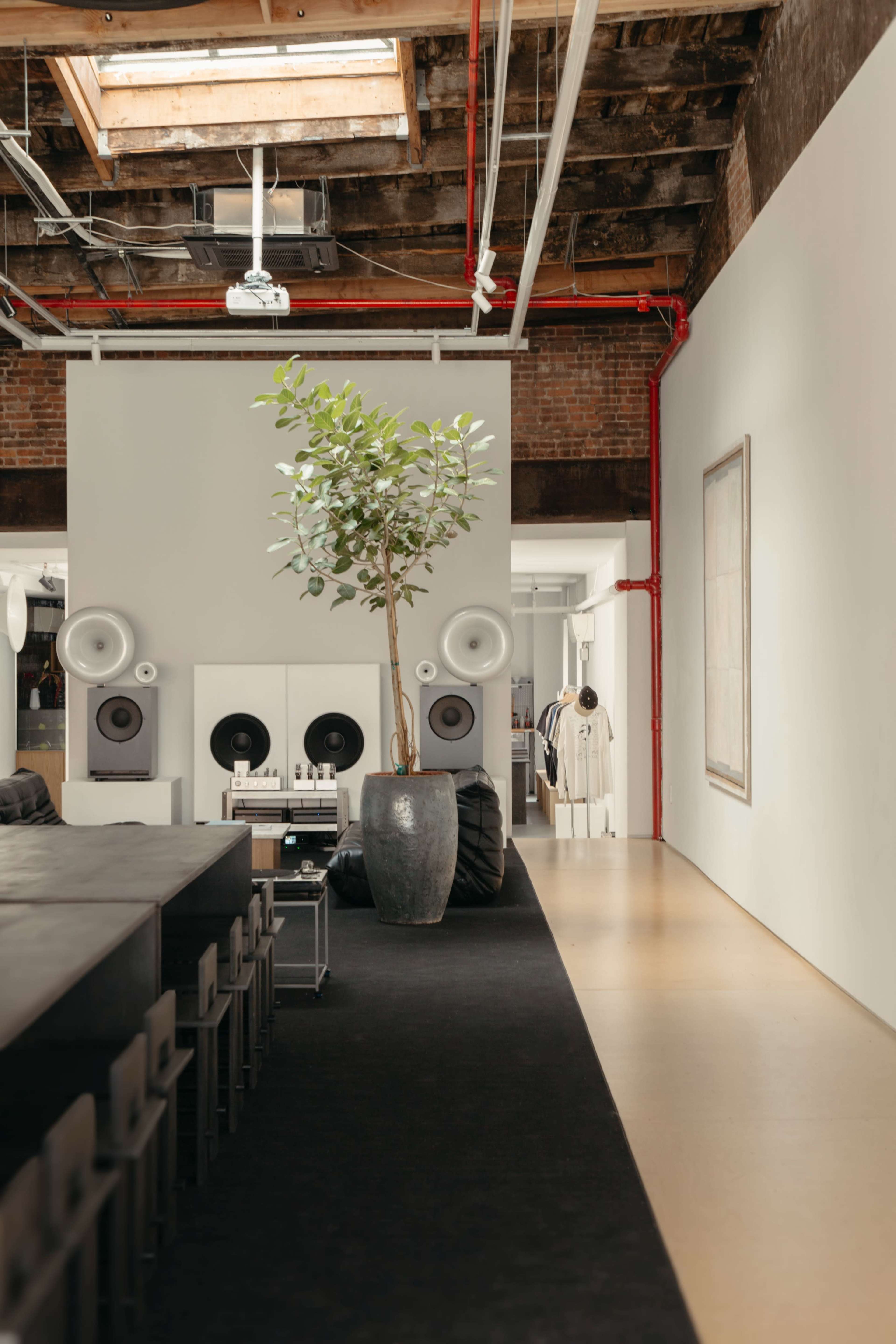 A spacious room features a long table, a potted plant, large speakers mounted on a wall, and a glimpse of a figure in a white outfit at the far end.