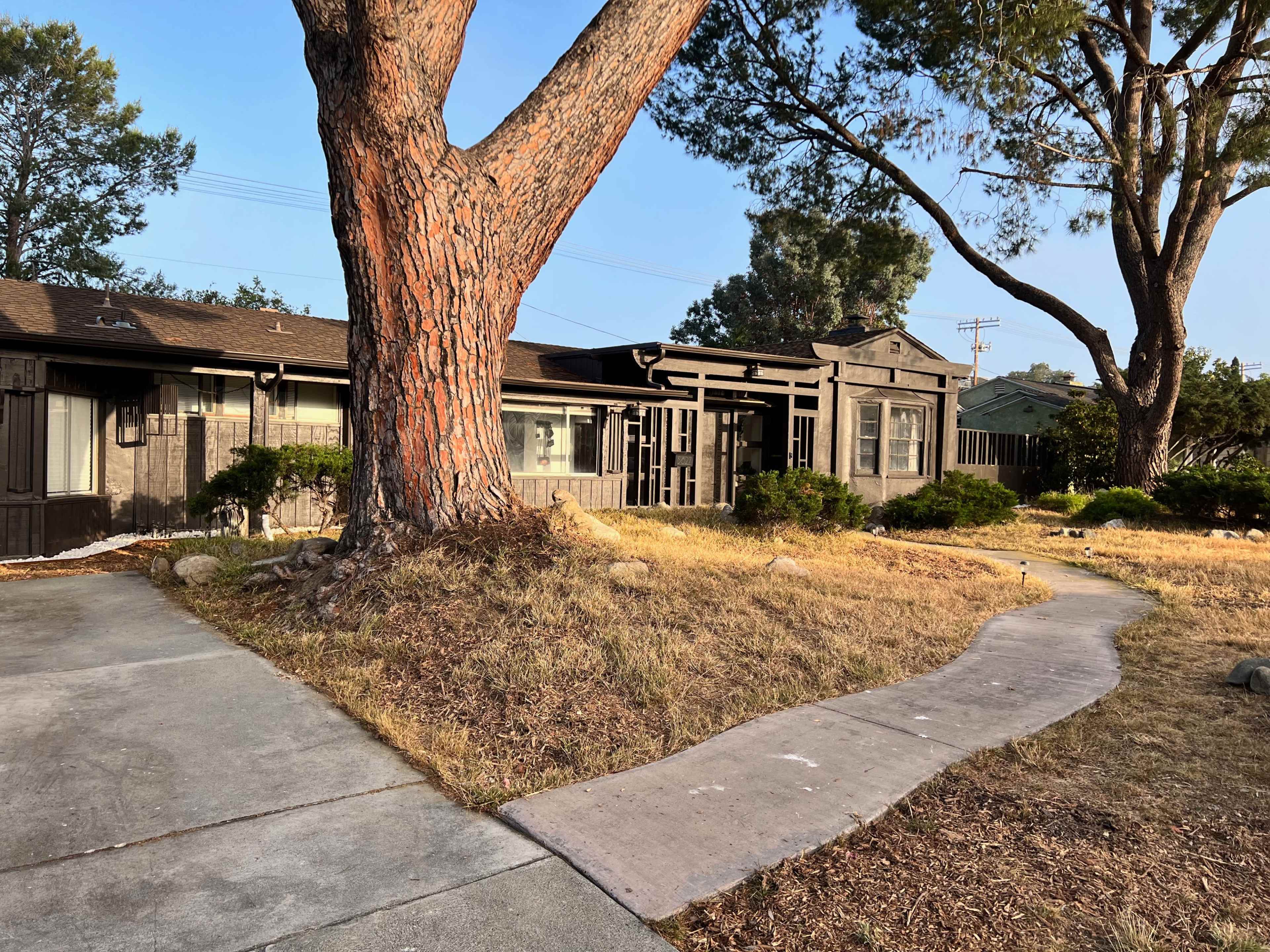 A single-story wooden house, surrounded by shrubs and trees, features a winding concrete pathway leading to its entrance.