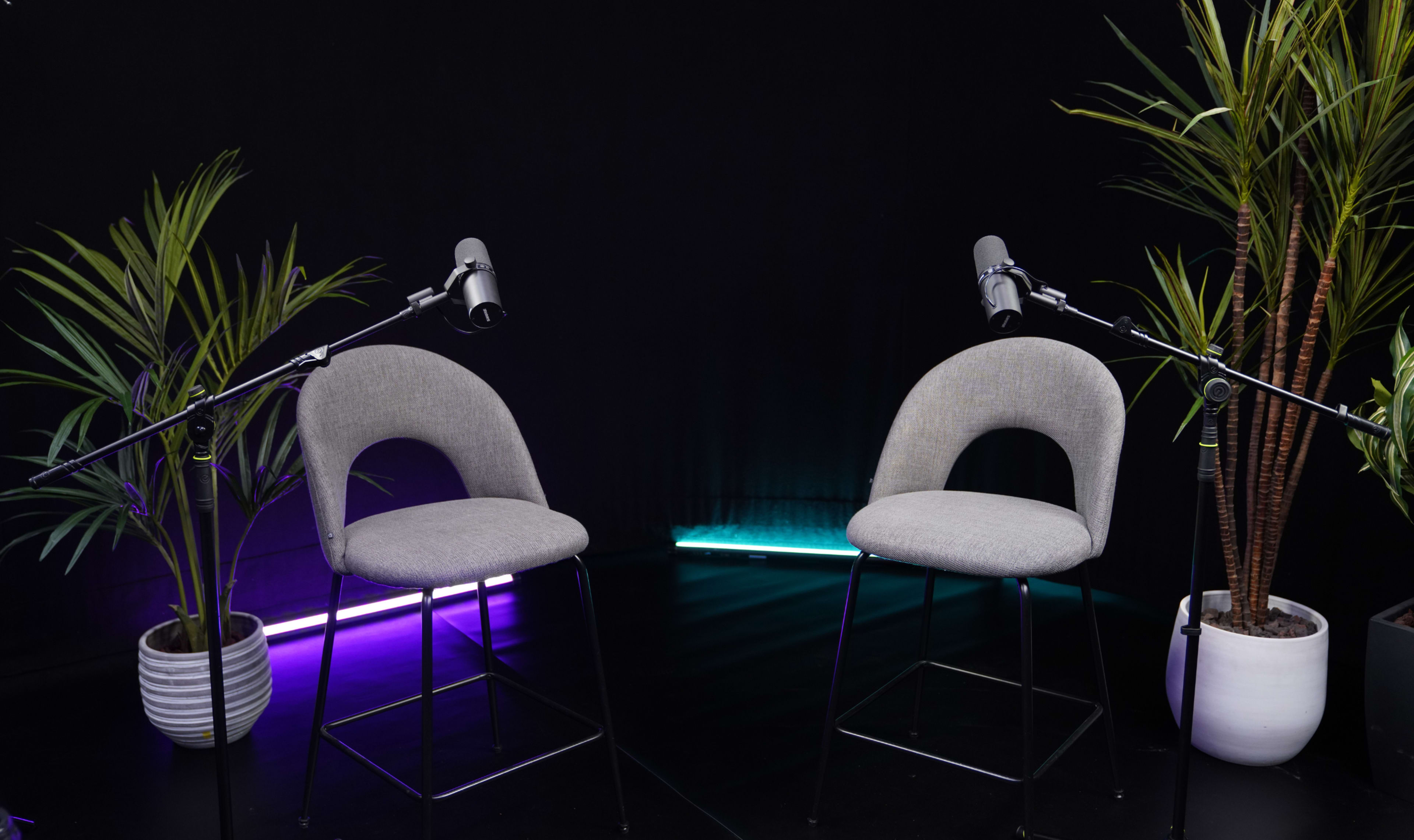 The image features two gray chairs with microphones positioned in front of them, framed by potted plants and illuminated by colorful lights in a dark setting.