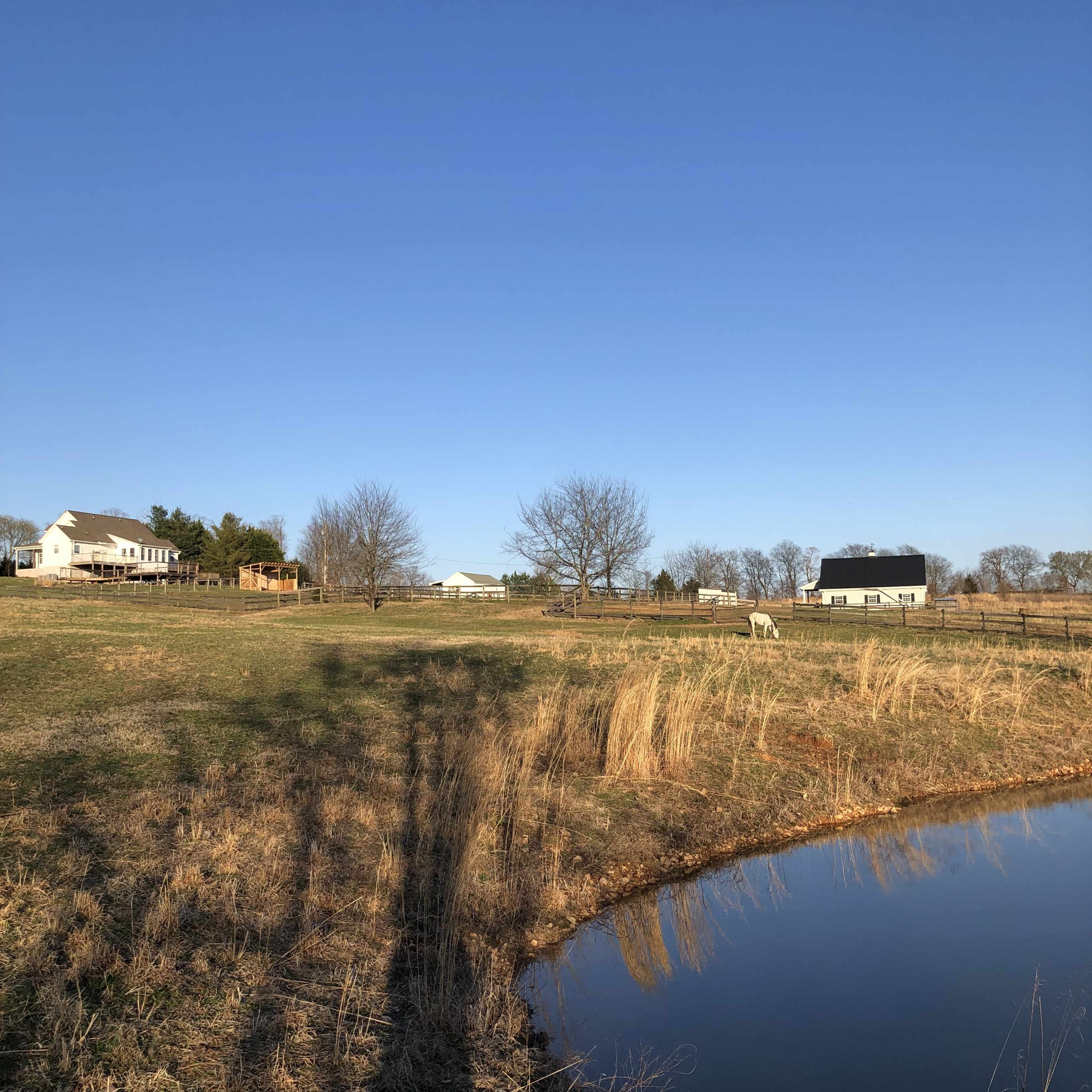 The image depicts a rural landscape with a pond in the foreground, surrounded by open fields, trees, and several farm buildings under a clear blue sky.