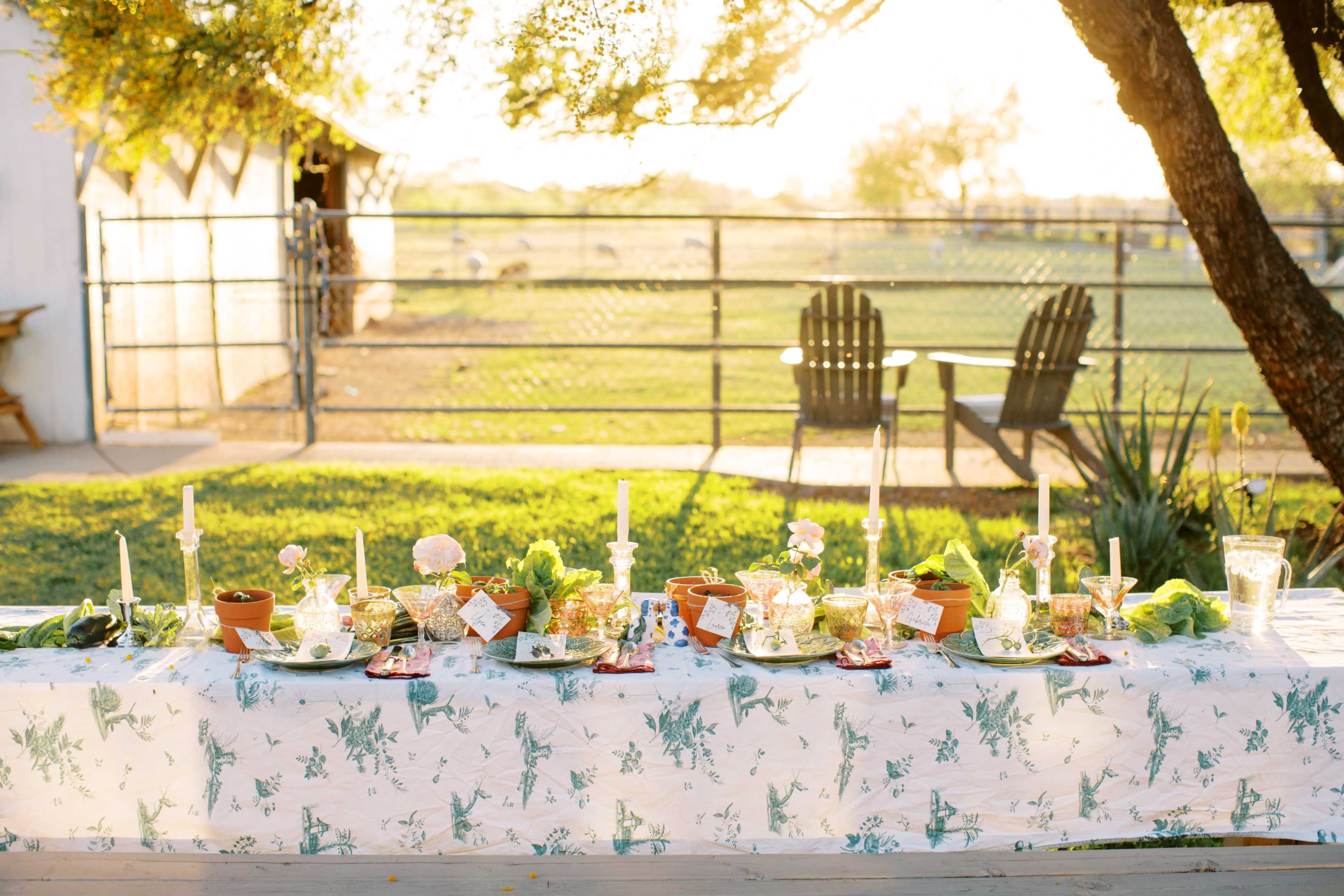 A decorated table with flower pots, candles, and dishes is set outdoors under a tree, with a ranch-style backdrop in the distance.