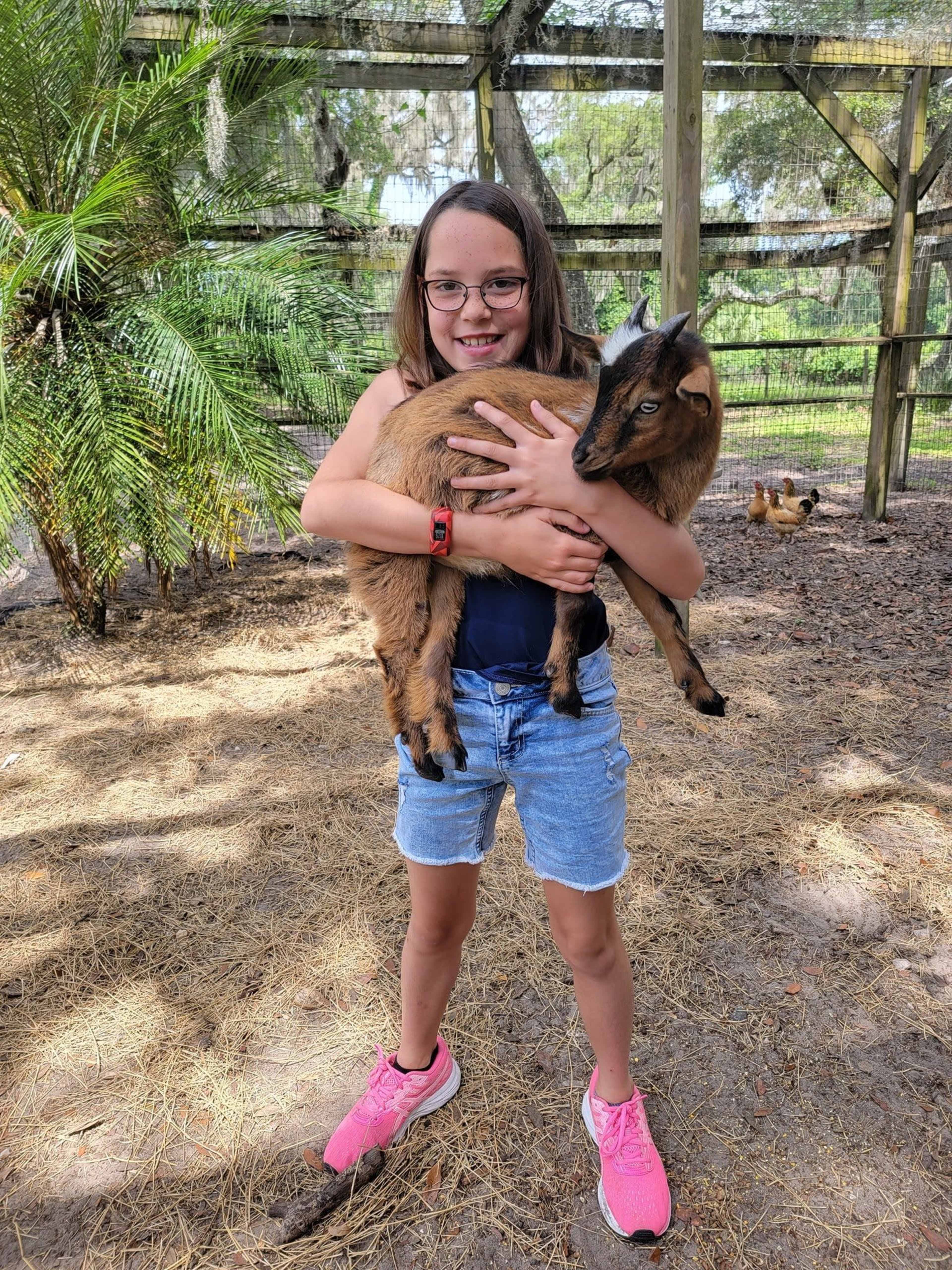 A girl in a sleeveless top and shorts holds a small goat while standing in an outdoor animal enclosure surrounded by greenery.