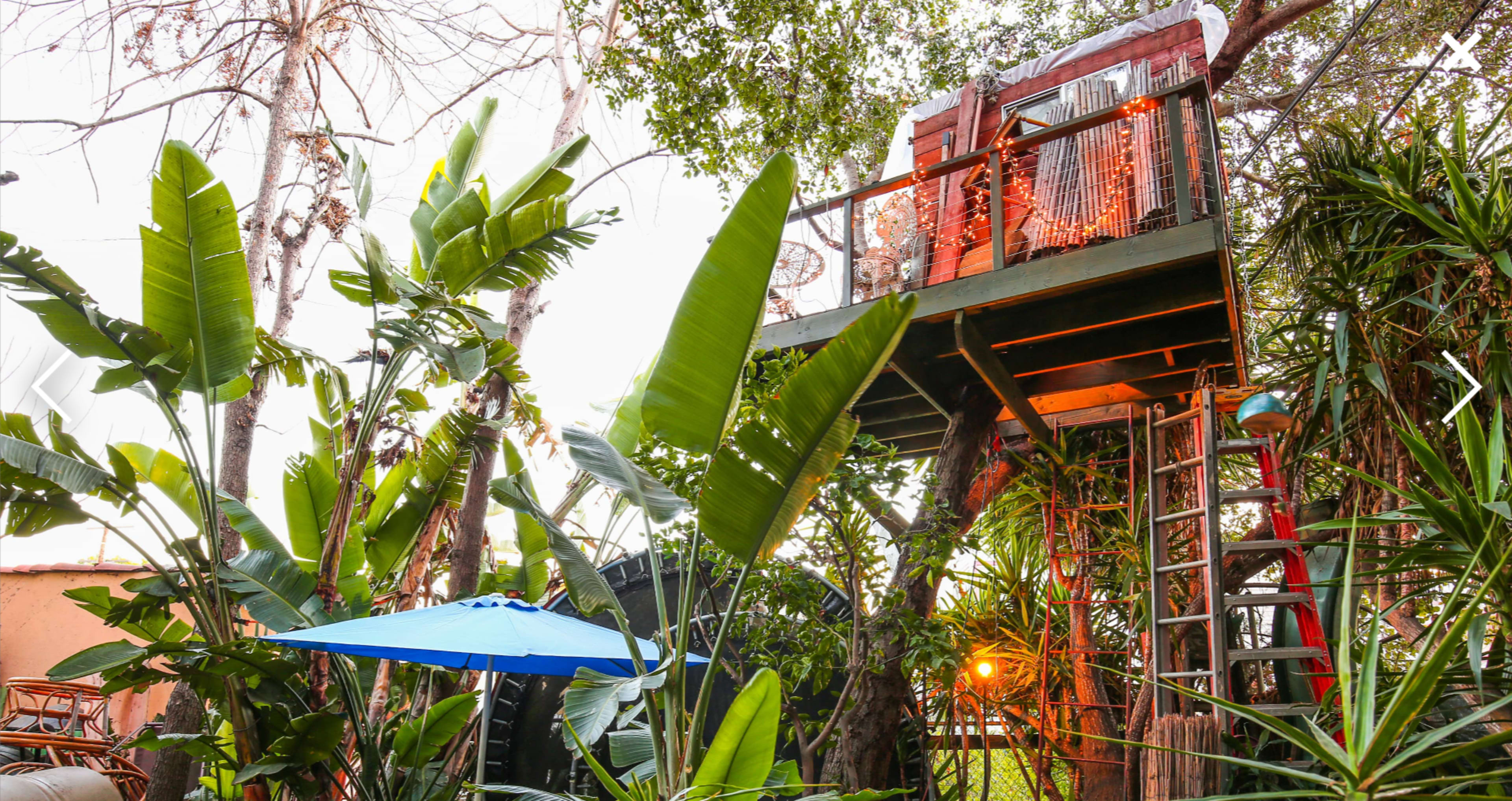 Enchanted Rainforest w/ Boho Charm & Zen Vibes Image in Los Feliz, Los Feliz, CA