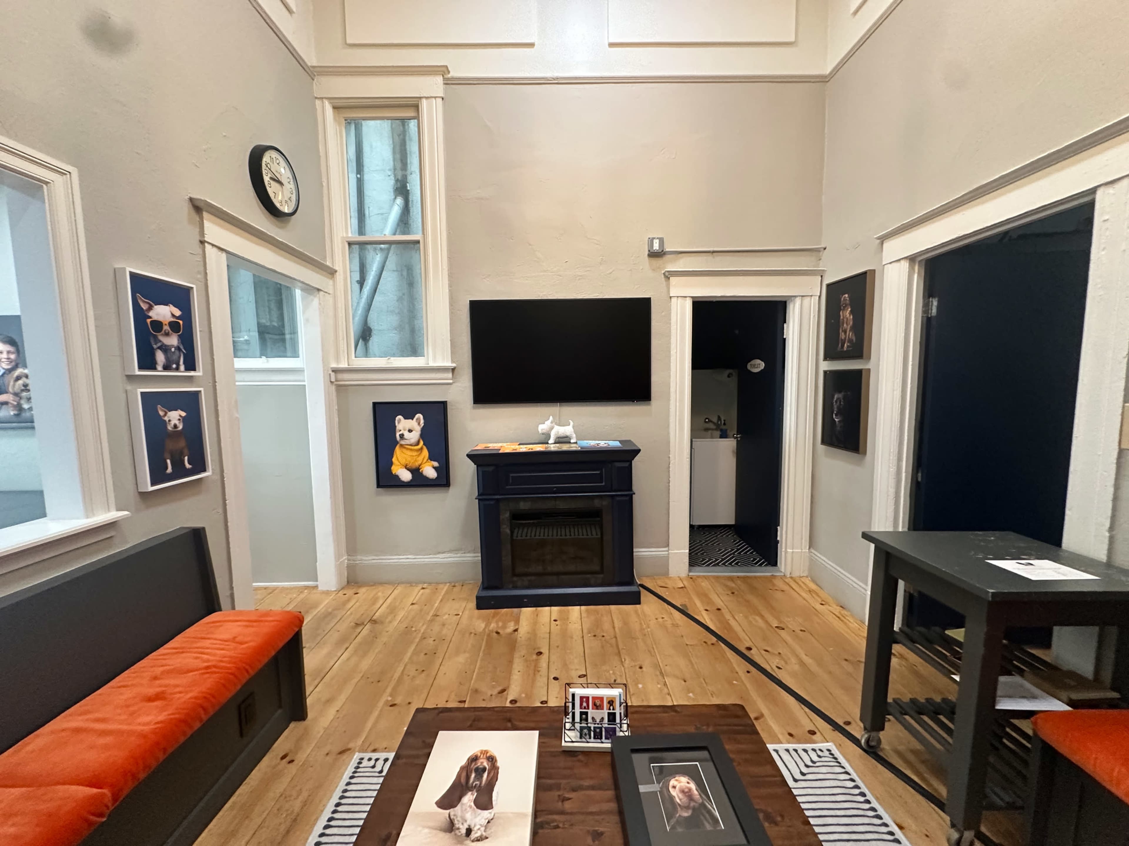 The image shows a modern room with a wooden floor, a sofa with an orange cushion, a coffee table displaying framed pictures of dogs, and a wall-mounted television.