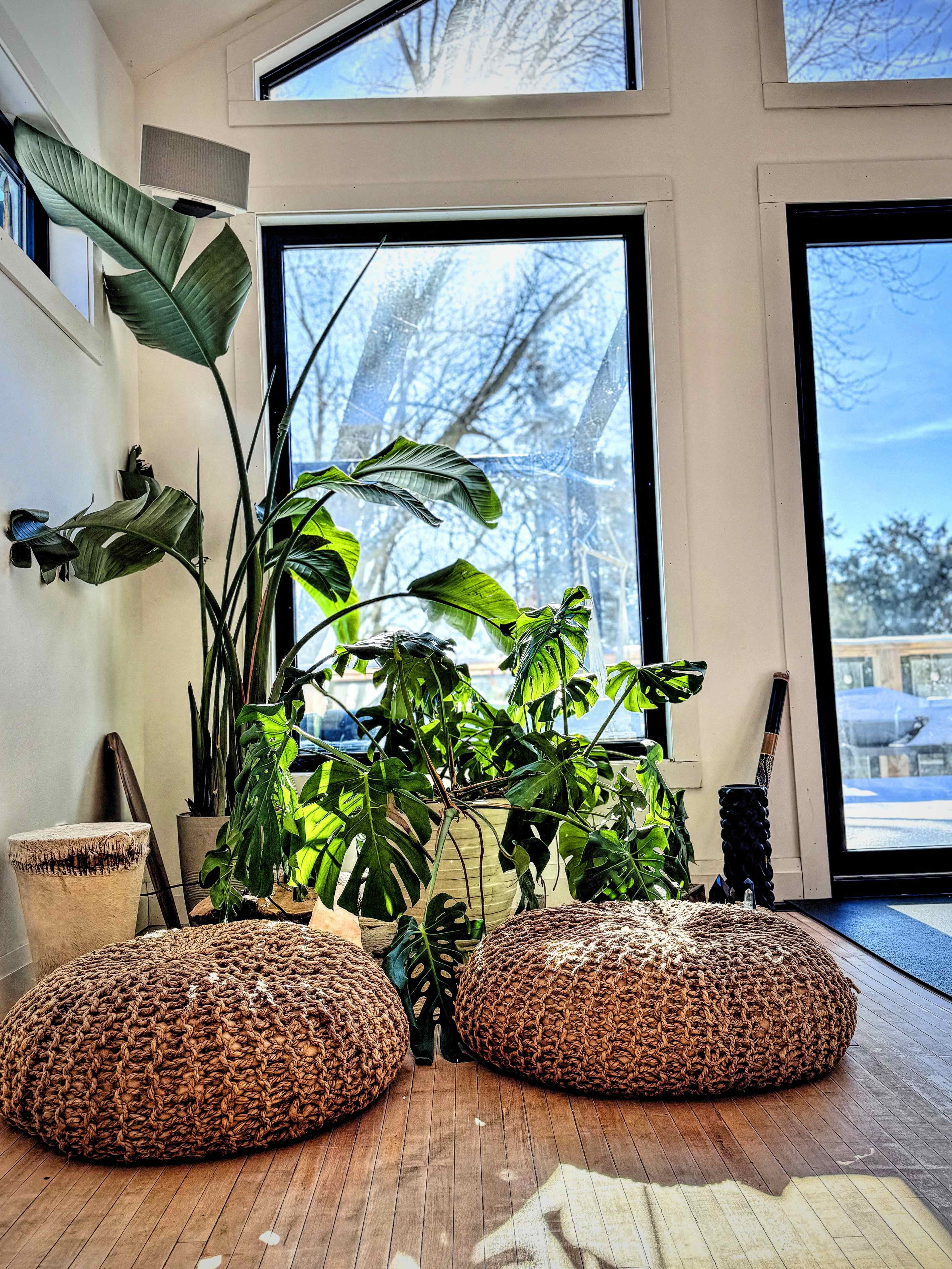 The image shows two woven floor cushions in front of large windows, with sunlight illuminating several green plants inside a bright room.
