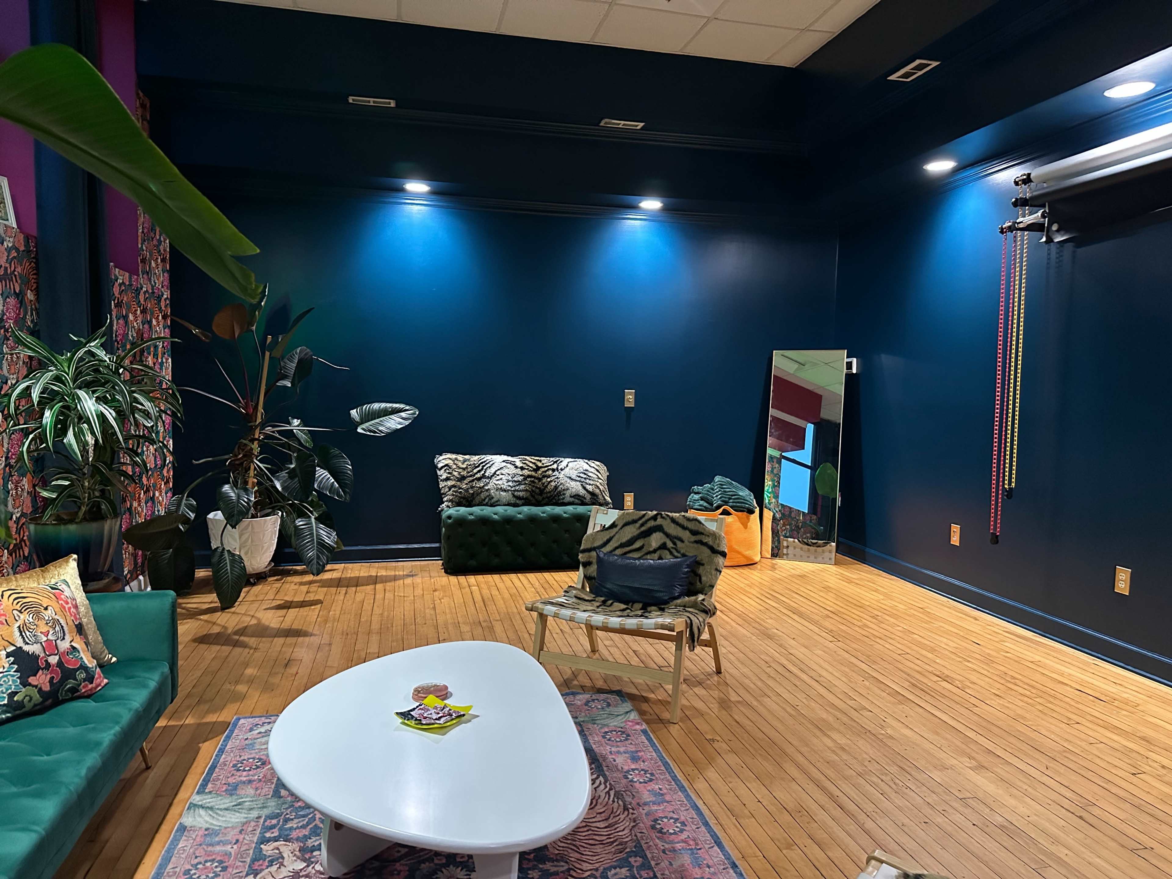 The room features a vibrant blue wall, a green sofa, a patterned rug, and various potted plants.