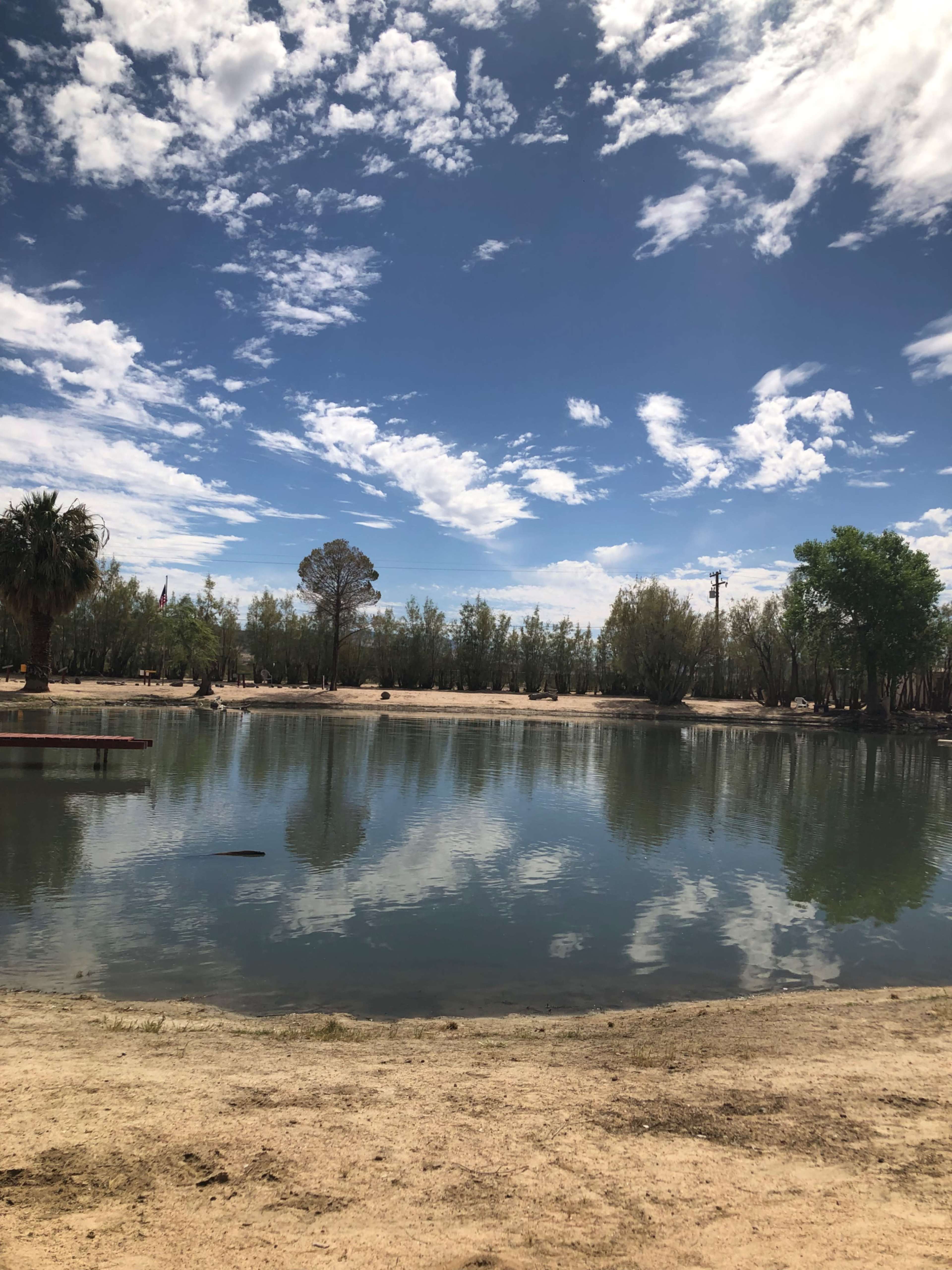 The image shows a calm pond reflecting the blue sky and surrounding trees, with a sandy shoreline in the foreground.