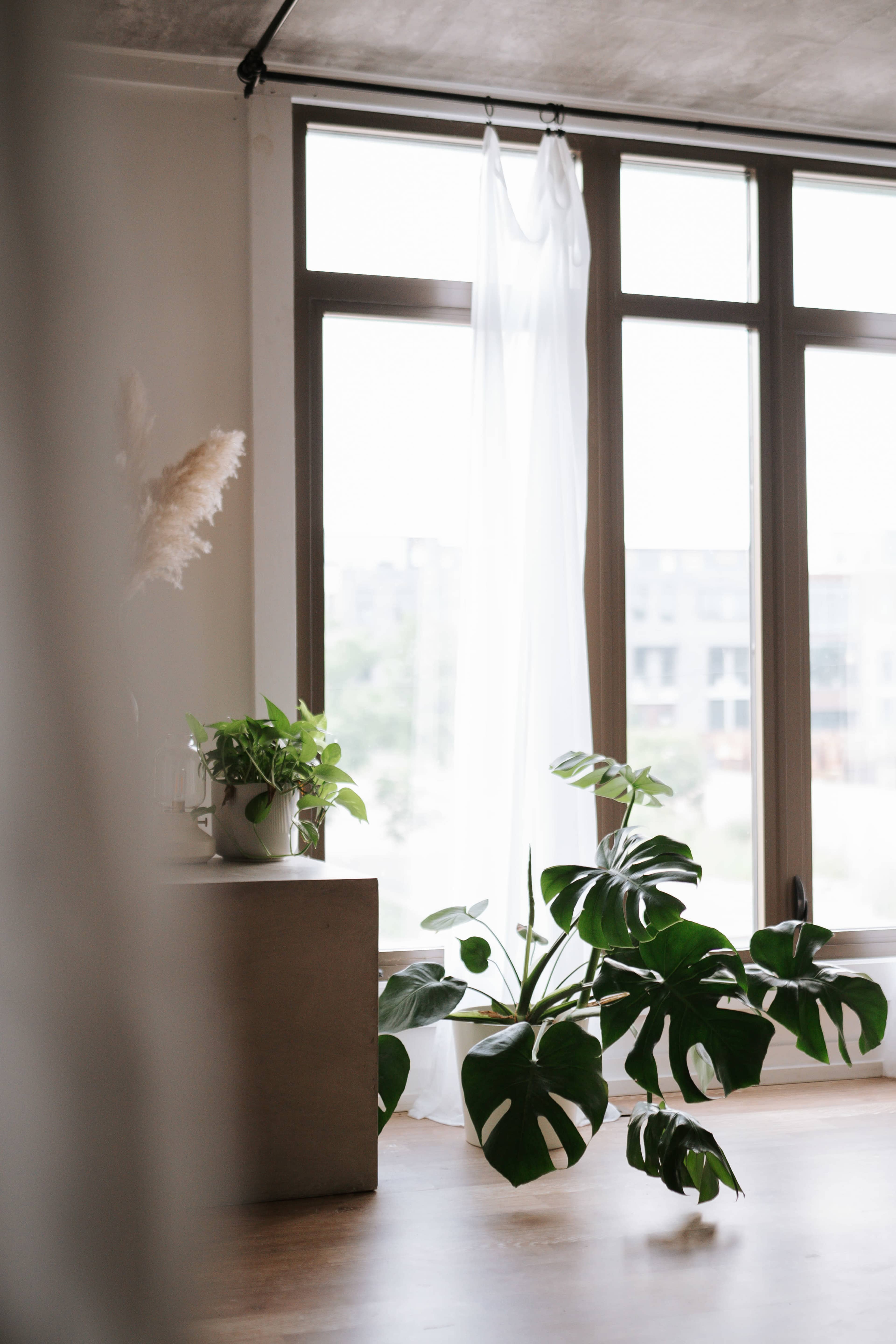 Downtown Natural Light Photo Studio, Boudoir Friendly 🪽✨ Image in Harrison, Minneapolis, MN