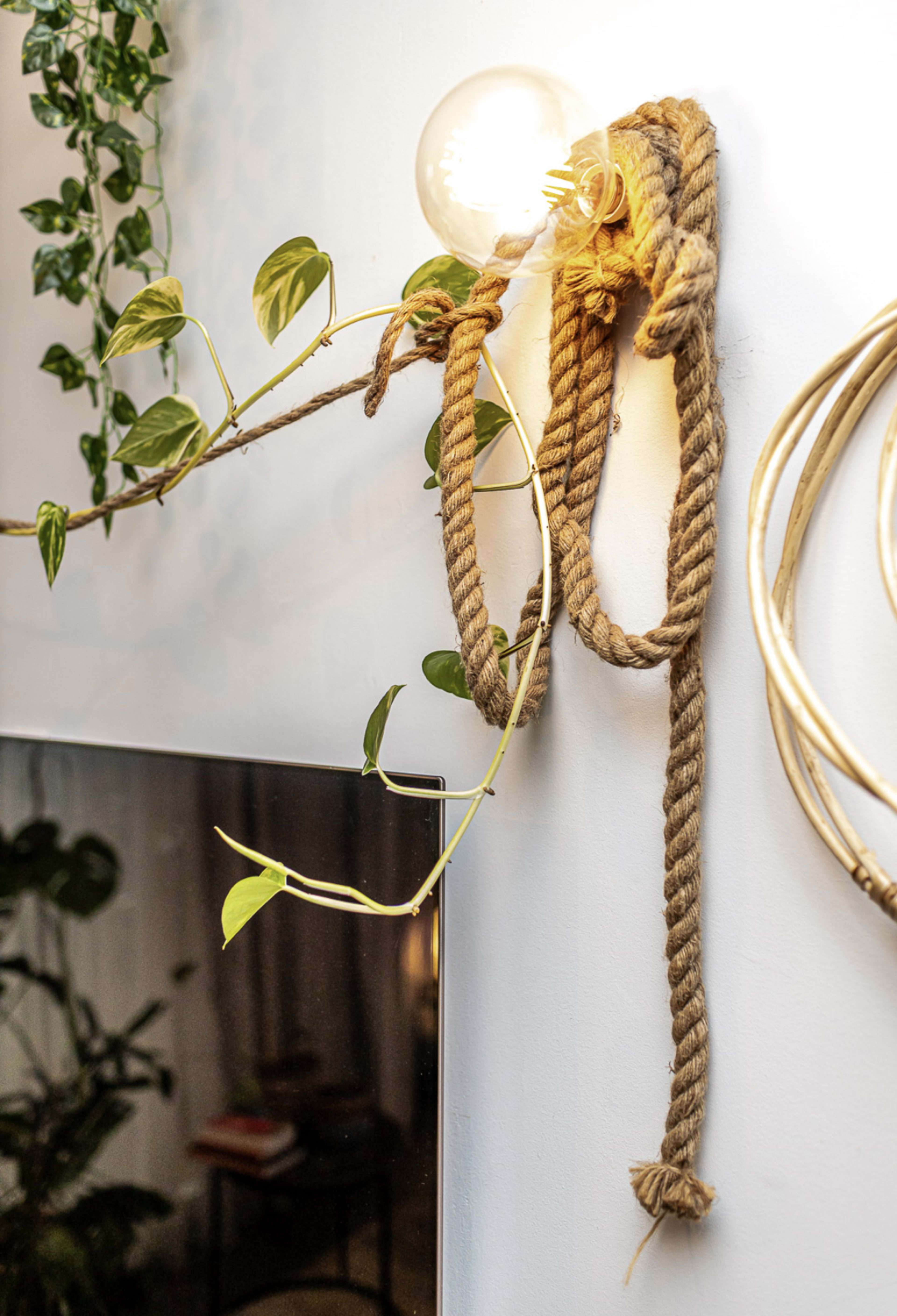 A light bulb is mounted on the wall, surrounded by a rope and a plant vine.