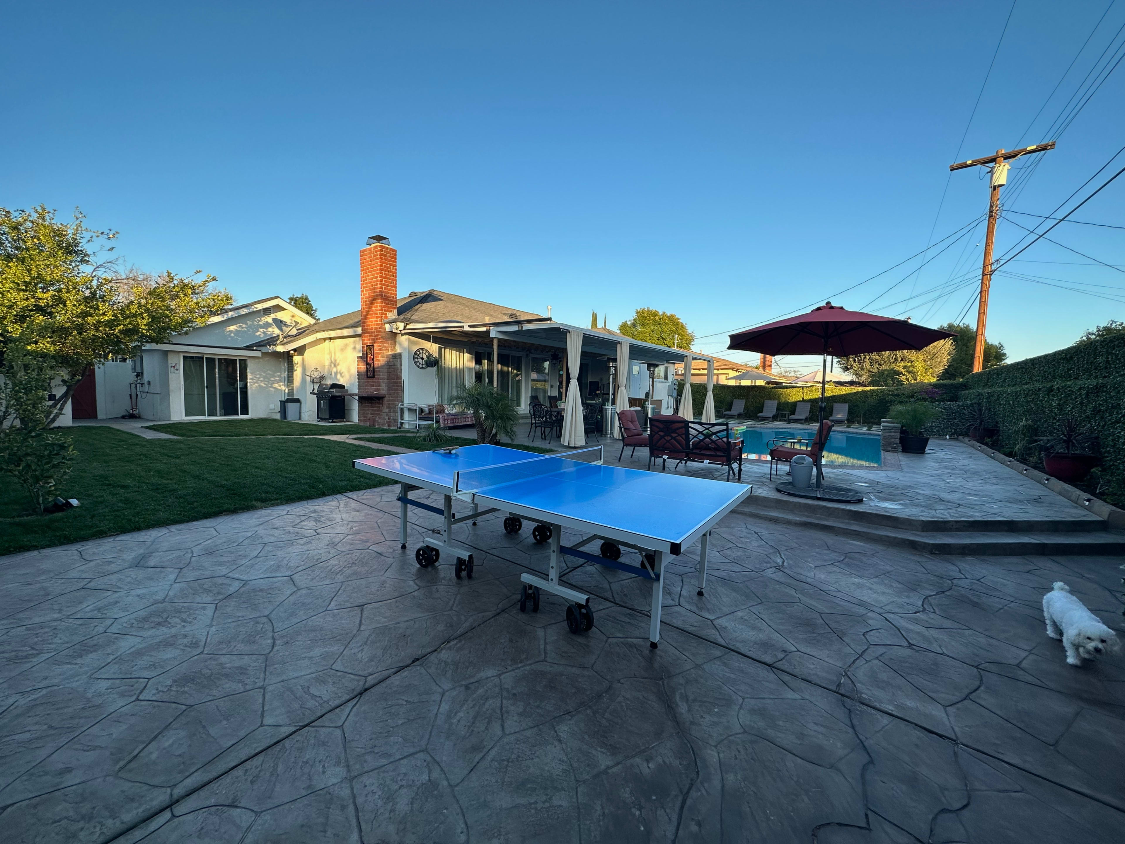 A backyard with a blue ping pong table, a swimming pool, and a house surrounded by grass and trees under a clear sky.
