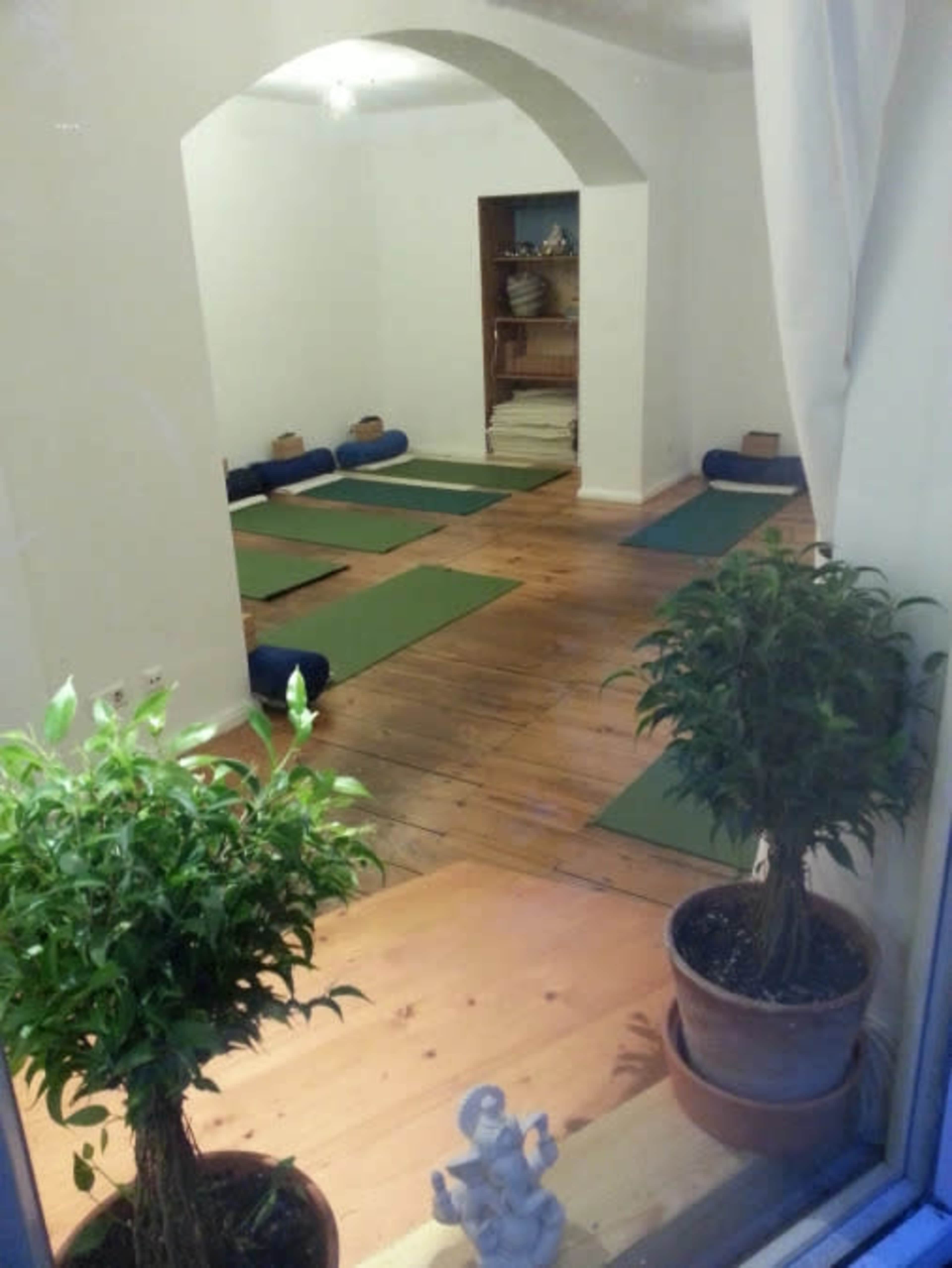 The image shows a serene yoga studio with green mats arranged on a wooden floor, flanked by potted plants.