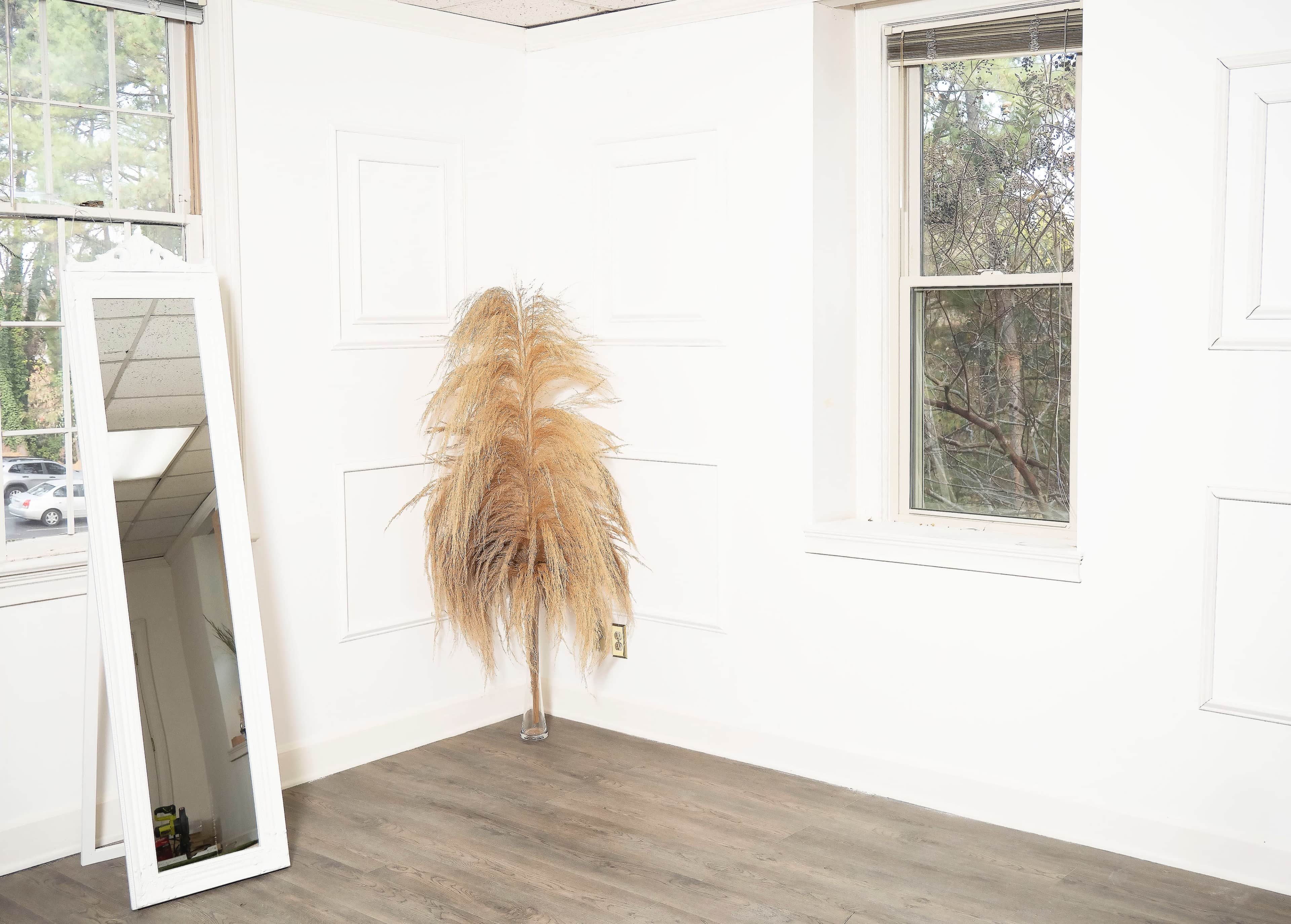 The image shows a bright, empty room with a tall mirror and a decorative dried plant near a window.