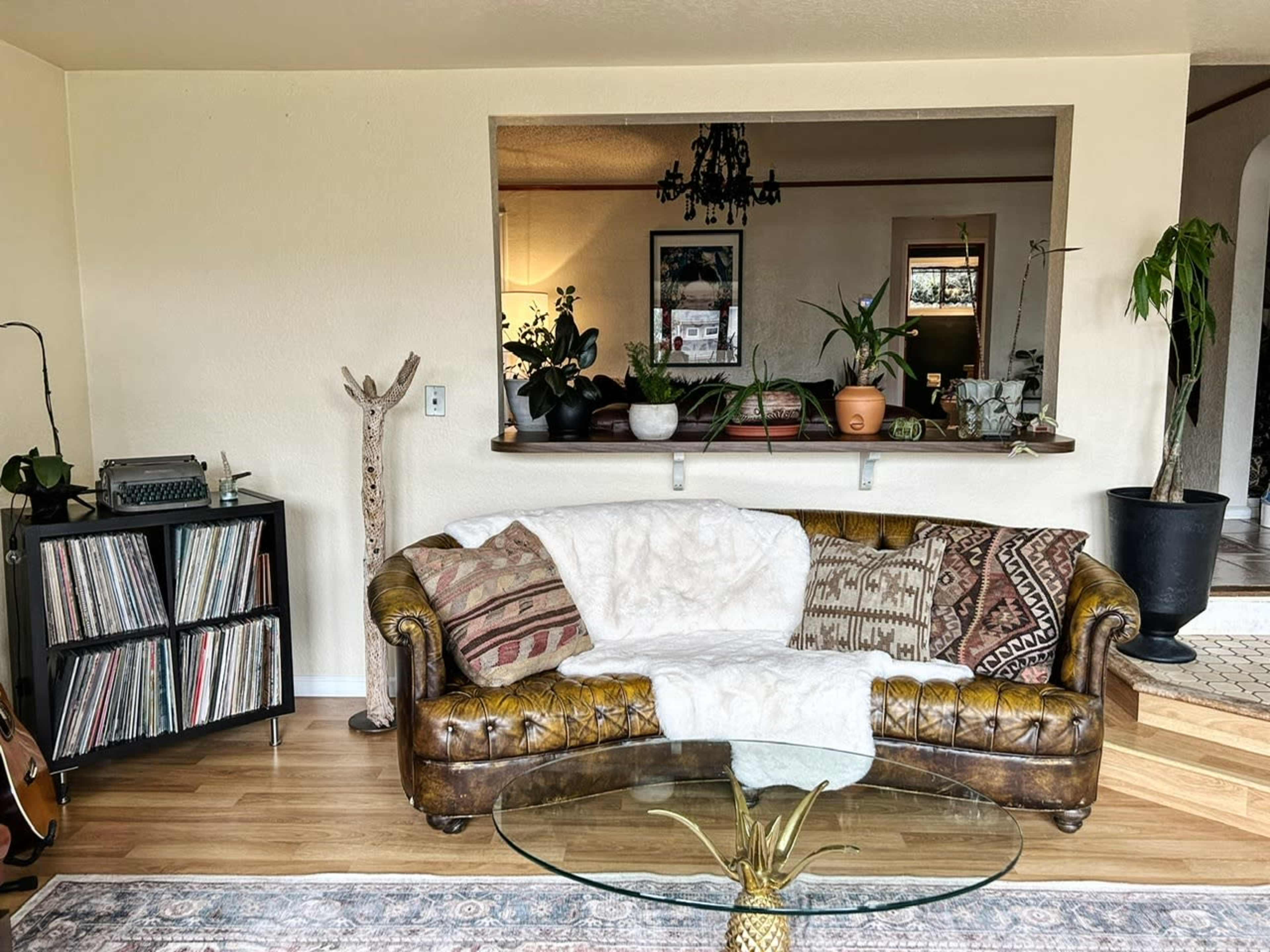 A cozy living room featuring a patterned couch, a glass coffee table, a vinyl record shelf, and various indoor plants arranged on a ledge.