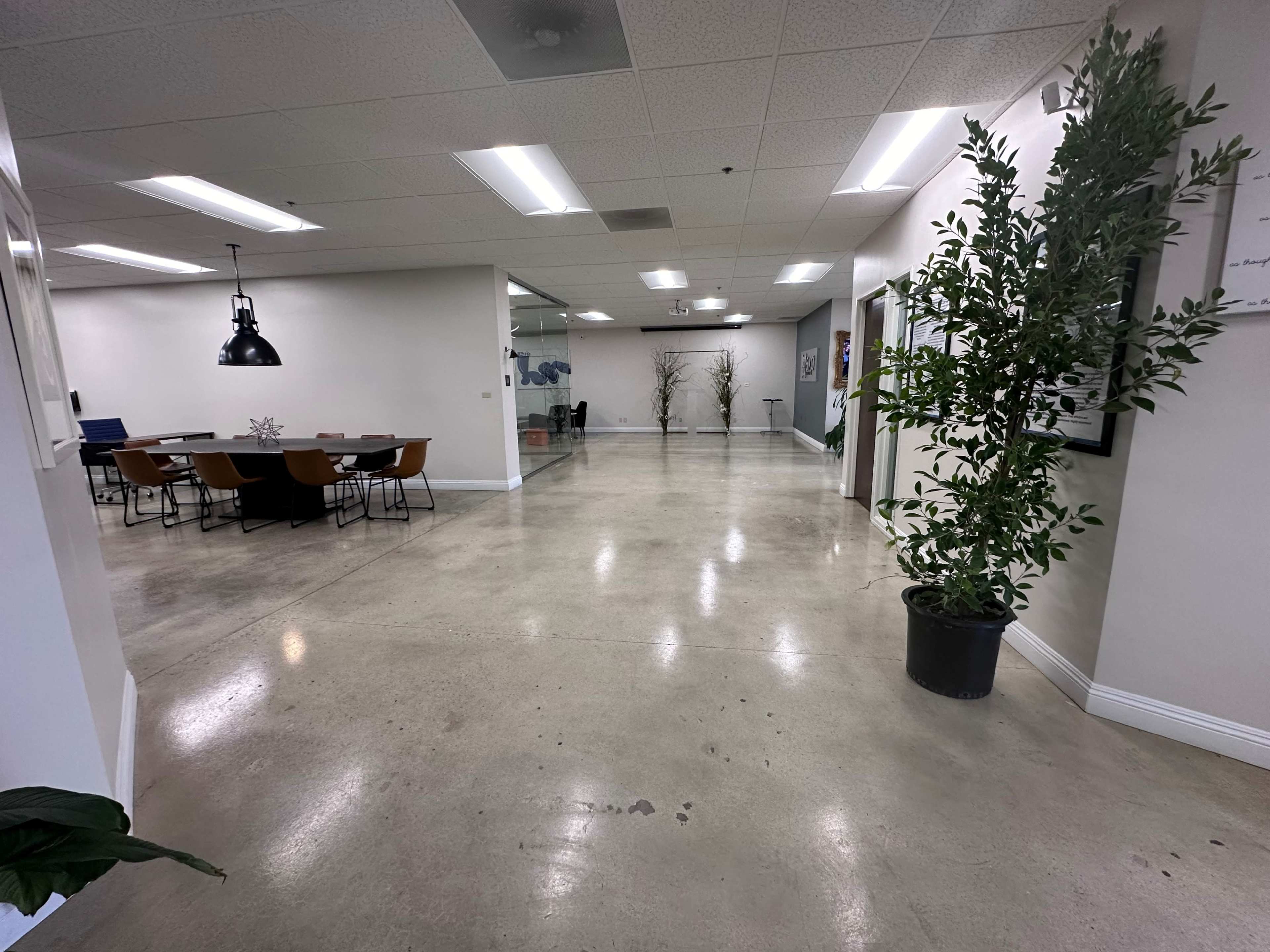 A modern office space with a long, polished concrete corridor leading to a meeting area, surrounded by potted plants and framed documents on the walls.