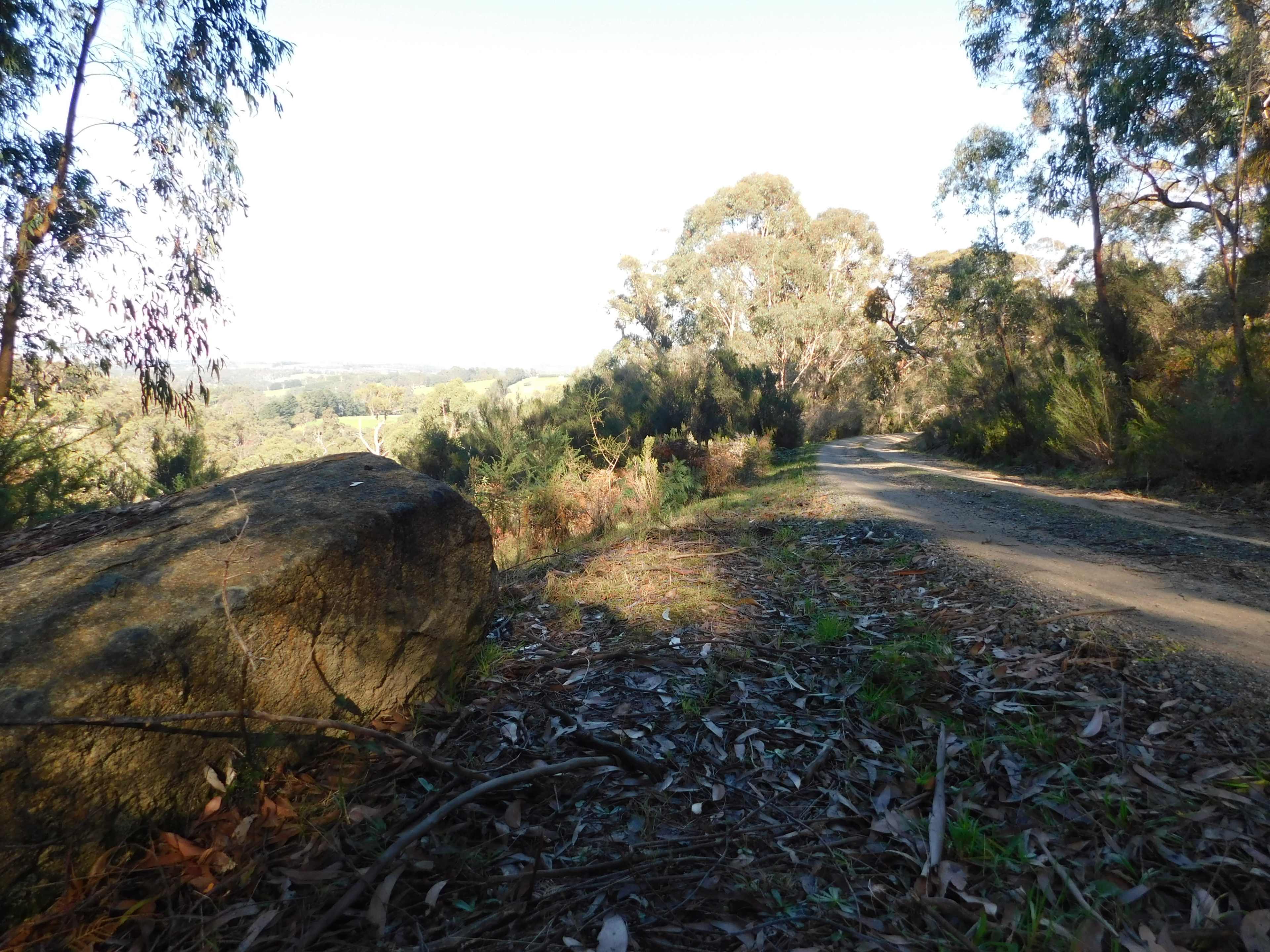 A dirt path winds through a wooded area, bordered by large rocks and native vegetation.