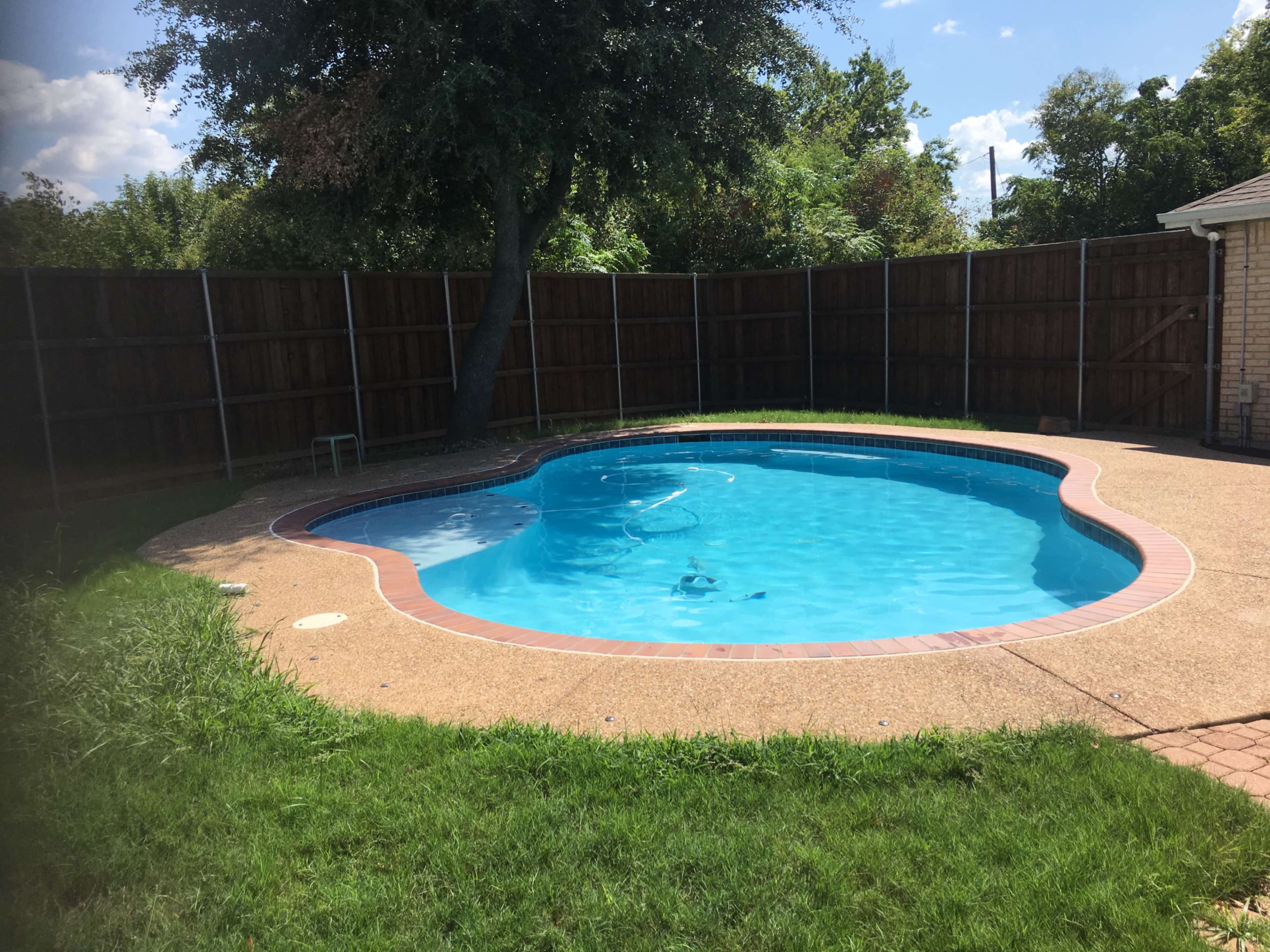 A rectangular swimming pool lies nestled in a backyard surrounded by a wooden fence, with grass and a tree nearby.