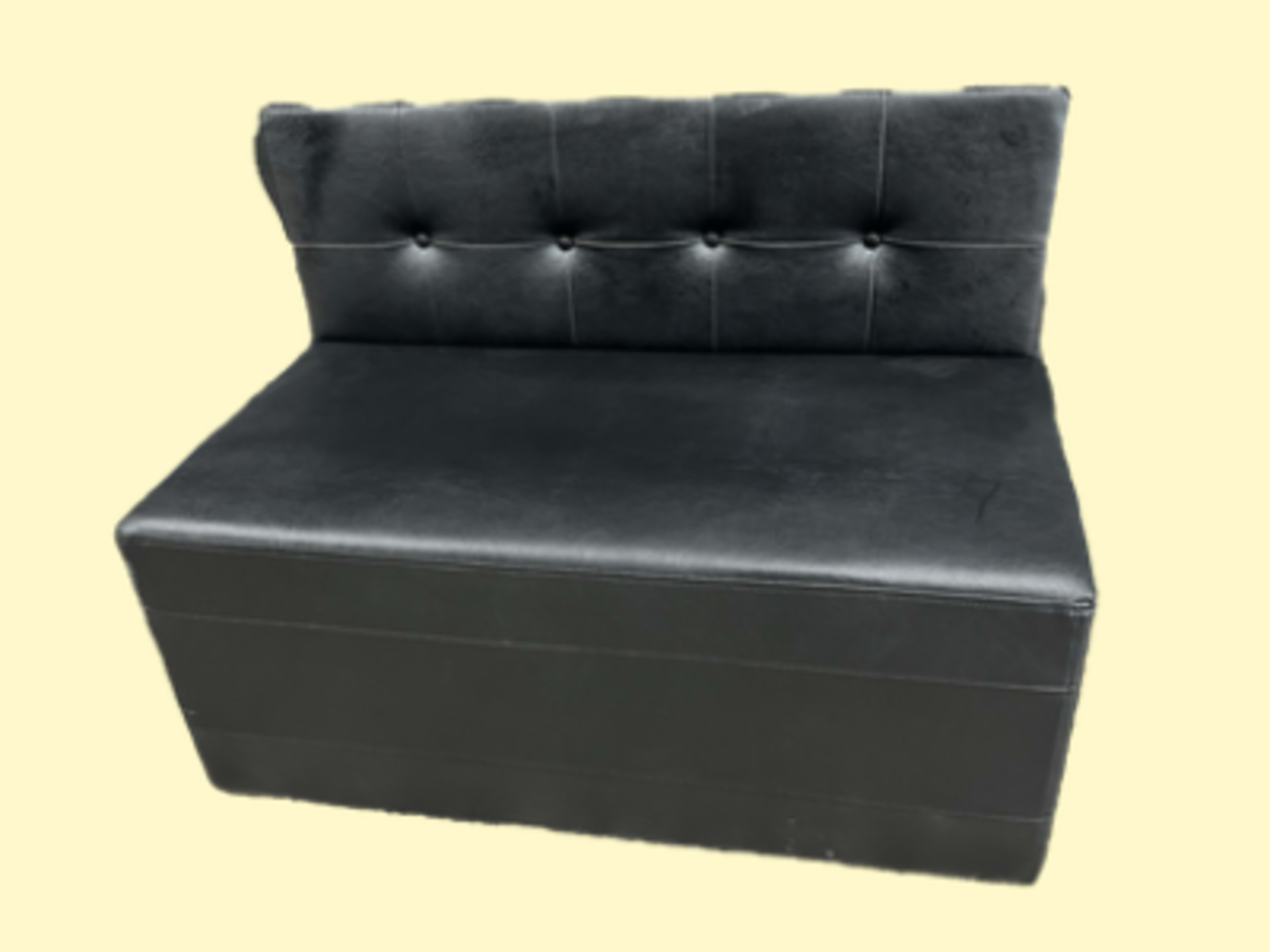 Loveseat Lounge Couch