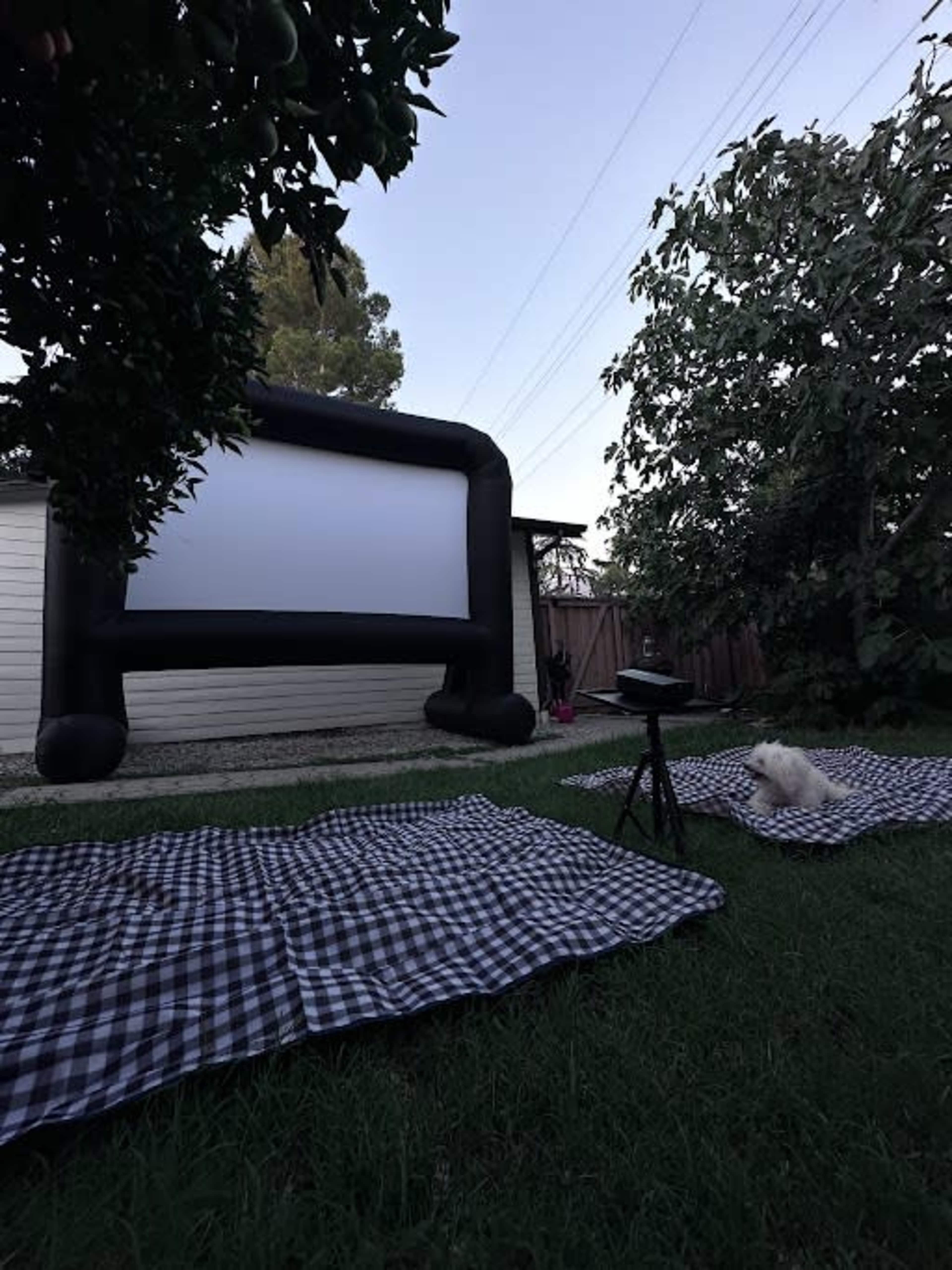 An inflatable movie screen is set up in a backyard, with checkered blankets spread out on the grass and a small dog sitting nearby.