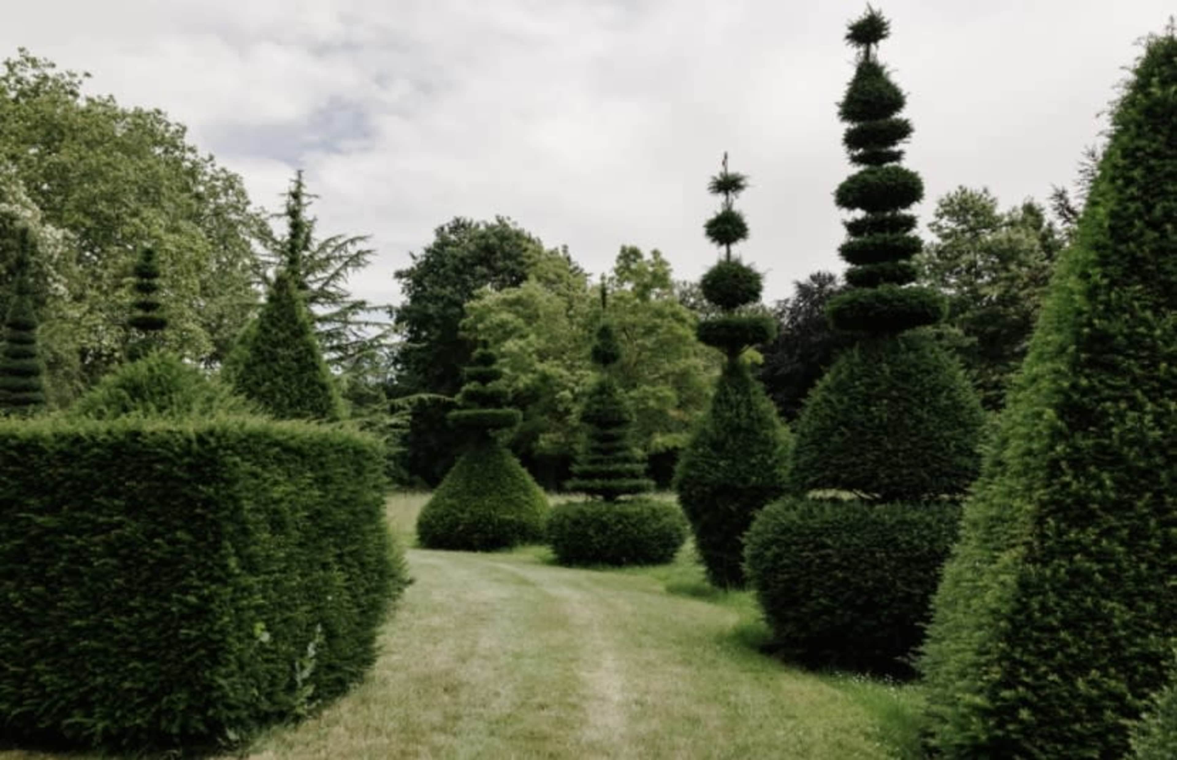 The image shows a neatly landscaped garden with various conical and spherical topiary hedges lining a curved path.
