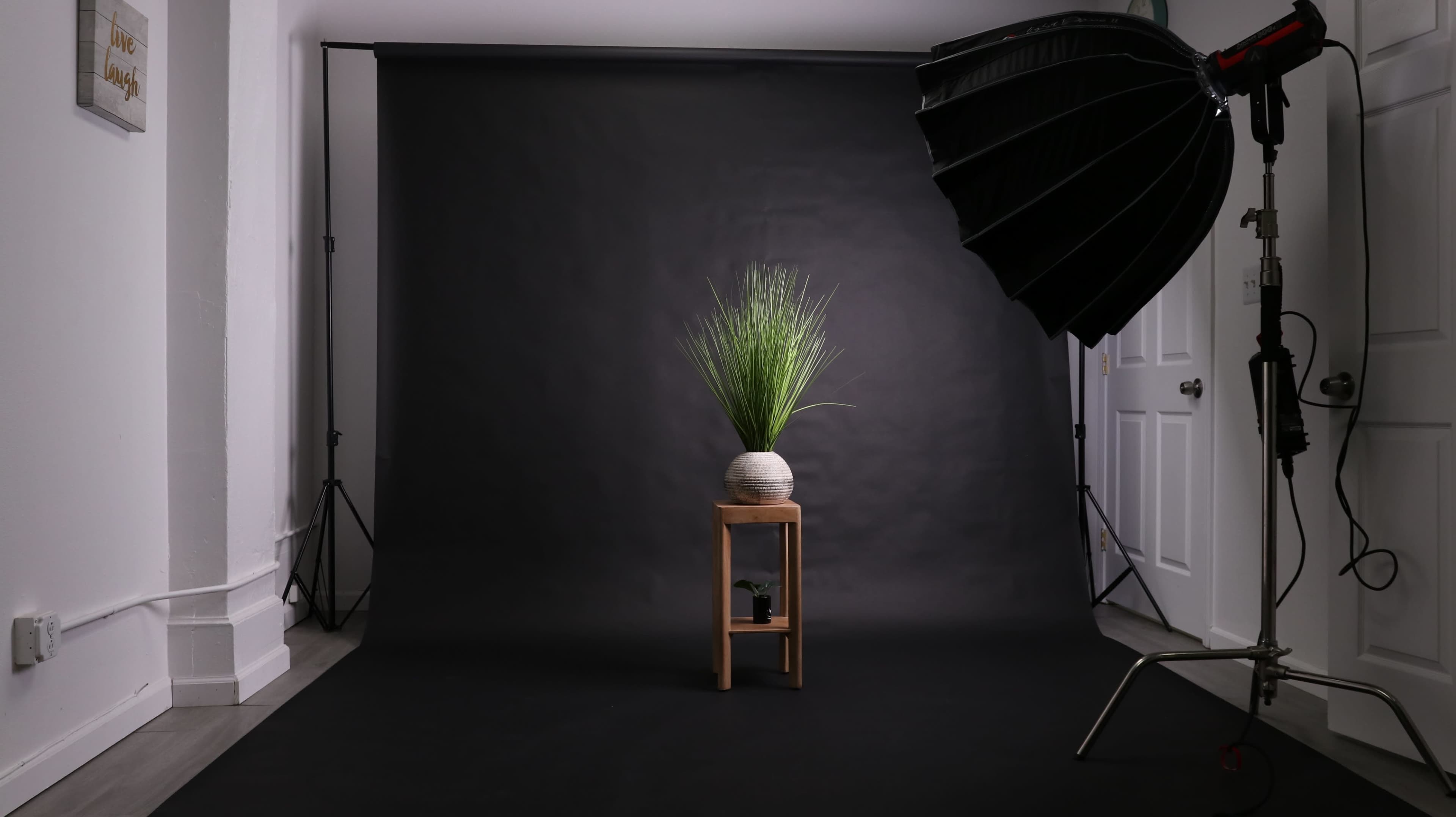 The image shows a simple studio setup with a black backdrop, a potted plant on a wooden stool, and a large softbox light positioned to the right.