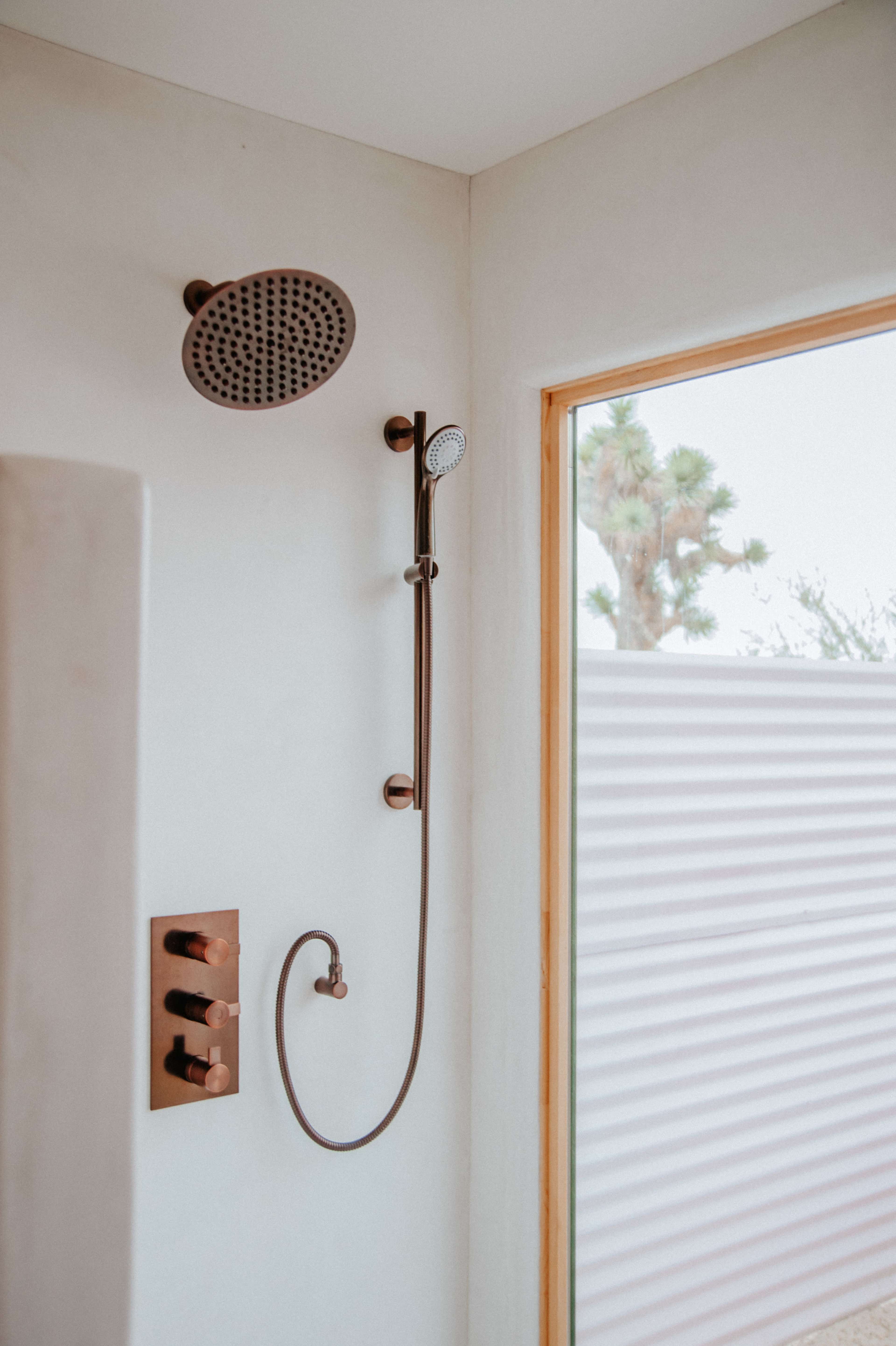 A modern shower with a wall-mounted rain showerhead and a handheld shower unit, set against a light-colored wall and a window with a view of outdoor plants.