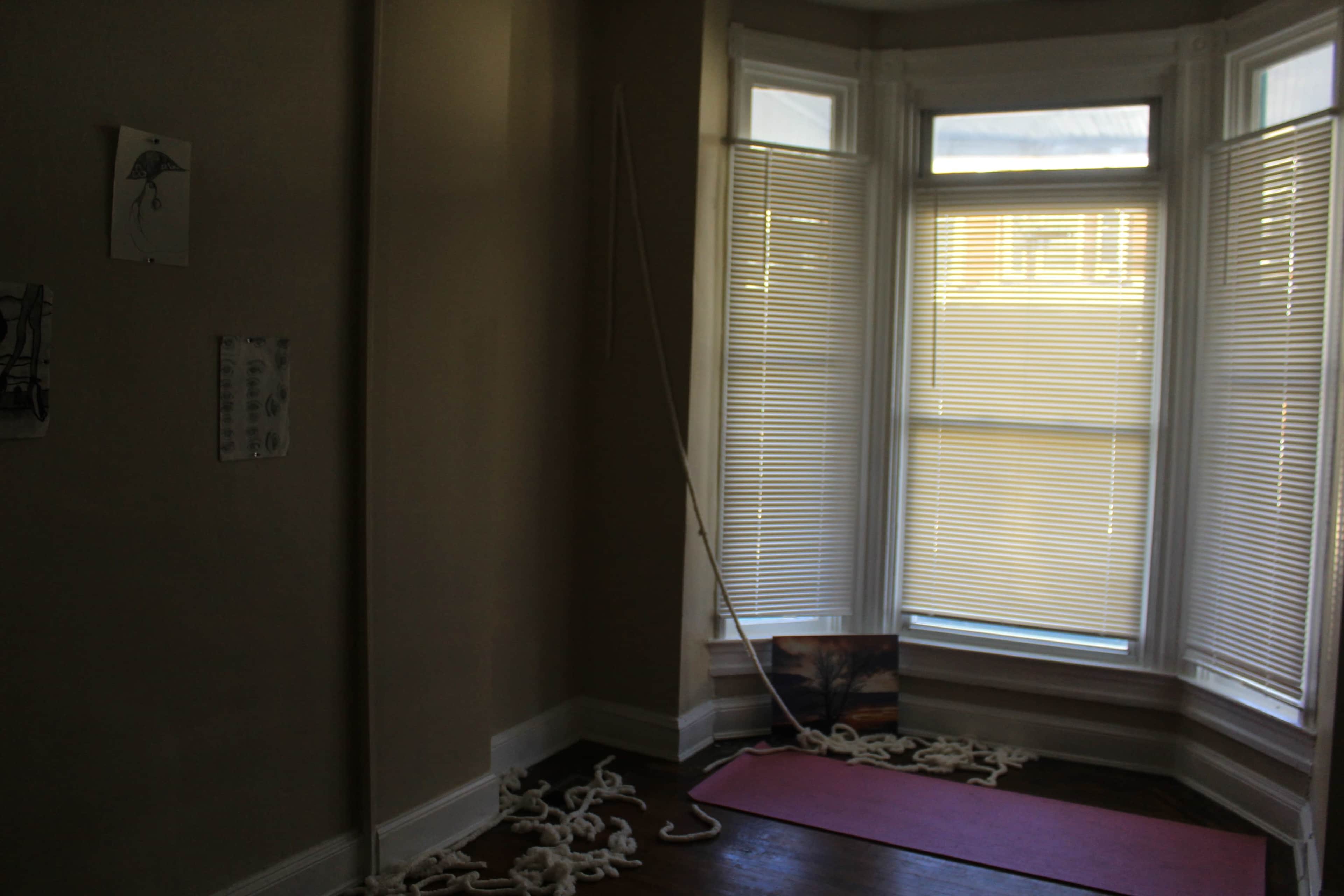 A corner of a room features large windows with blinds and a mat on the floor, with a length of rope partially strewn across the wooden surface.