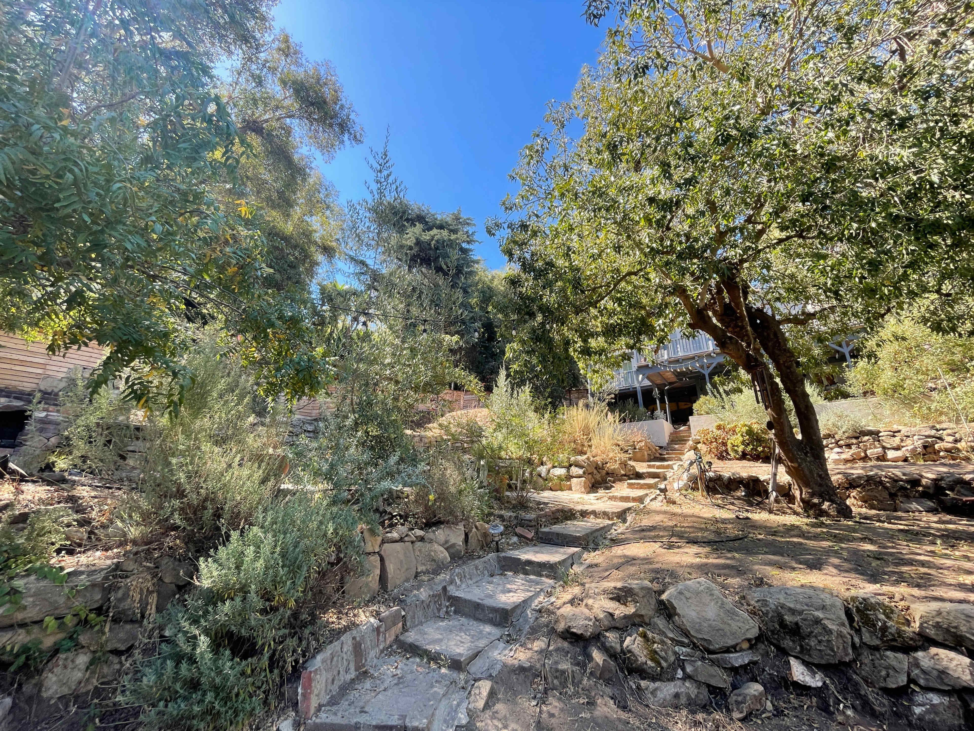 A pathway made of stone steps leading up through a landscaped area with shrubs and trees.