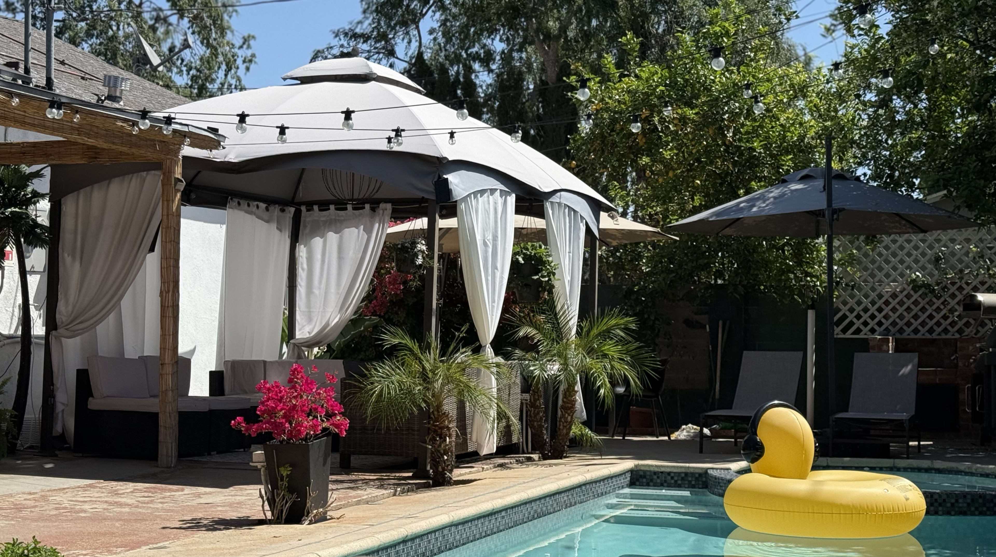 Gated Hidden Paradise Pool Image in Canoga Park, Canoga park, CA