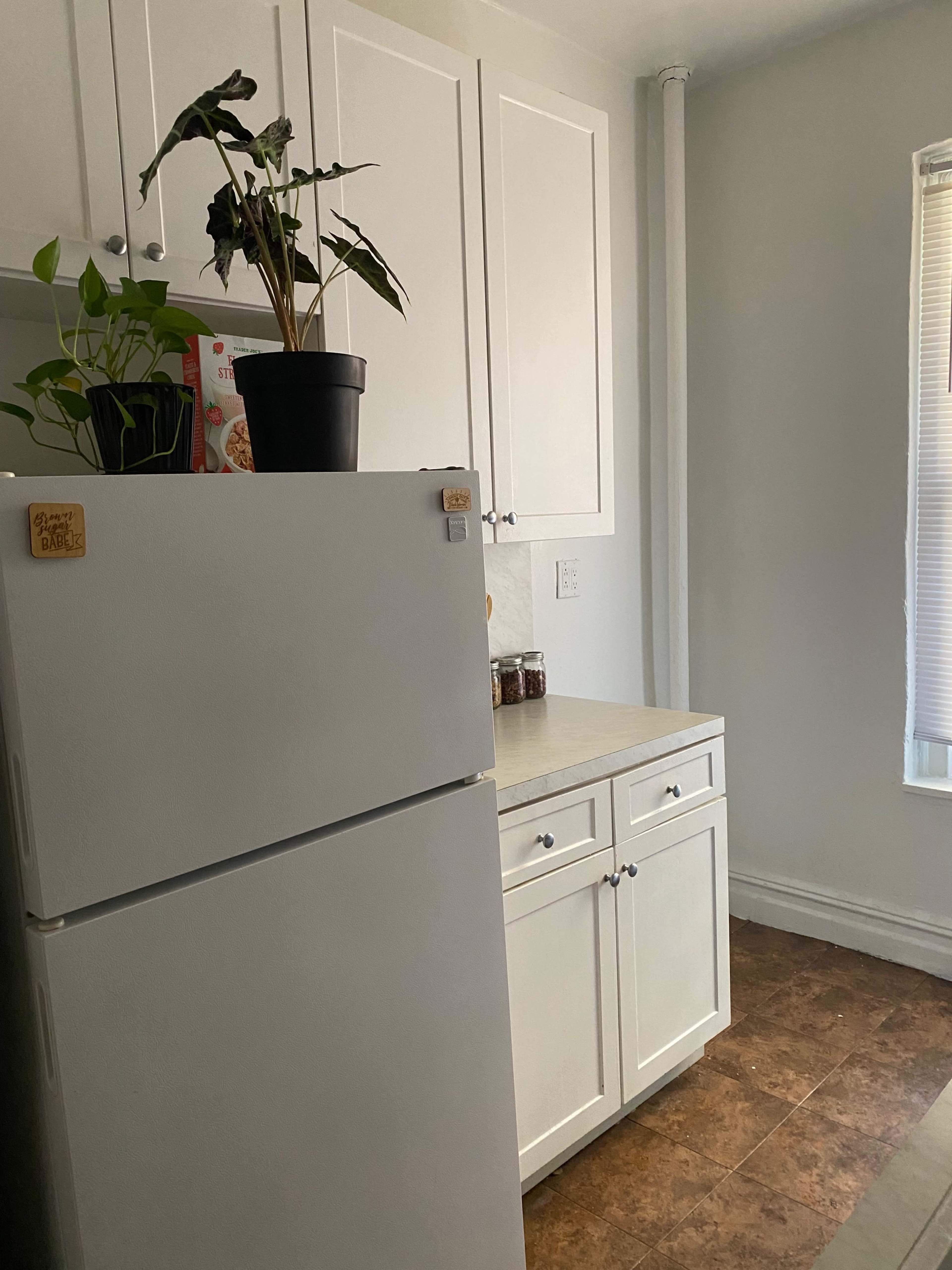 The image shows a kitchen corner with a white refrigerator, a potted plant on top, and cabinets above a countertop.