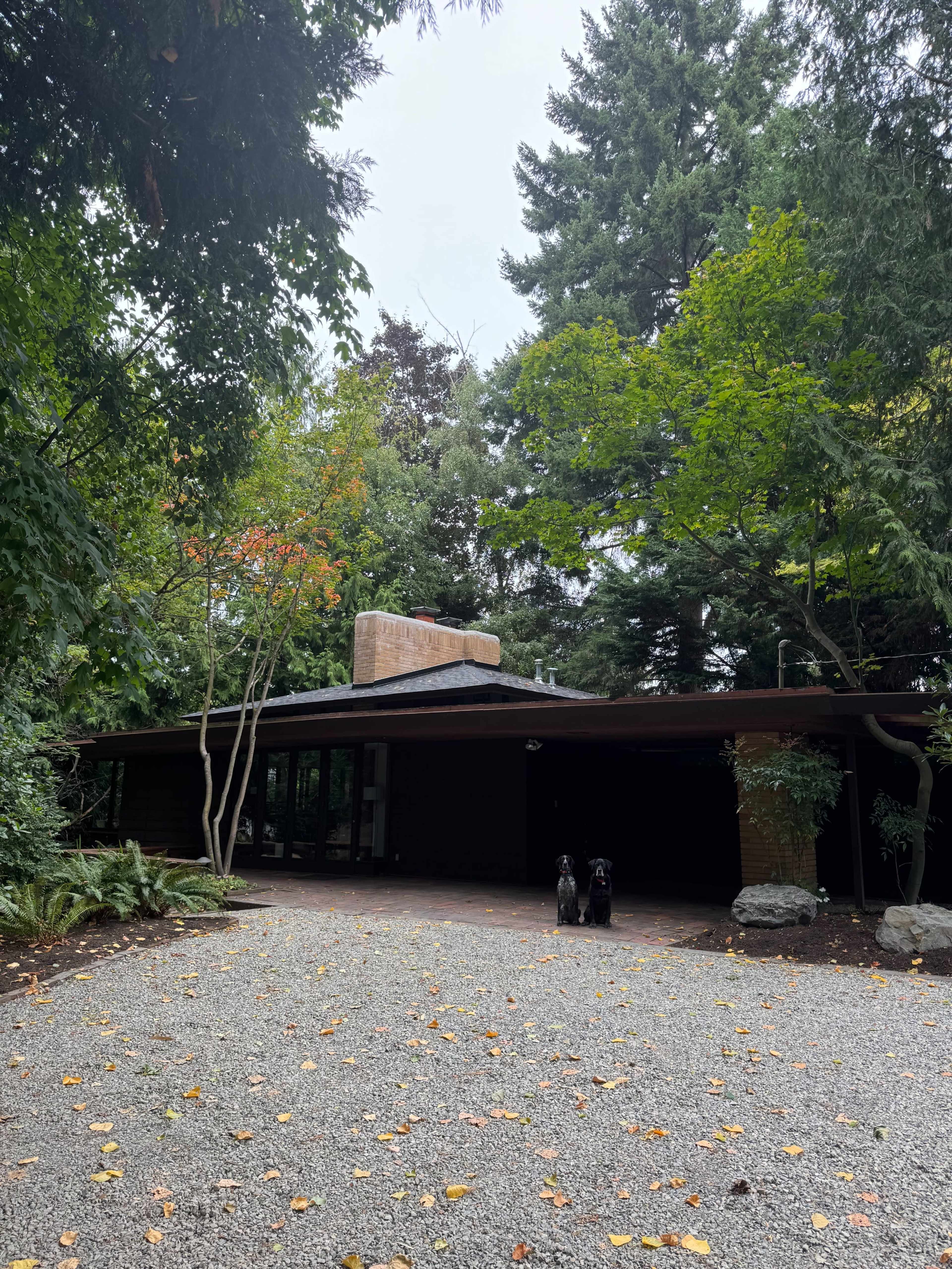 A Mid-Century Modern Jewel Image in Lake City, Seattle, WA