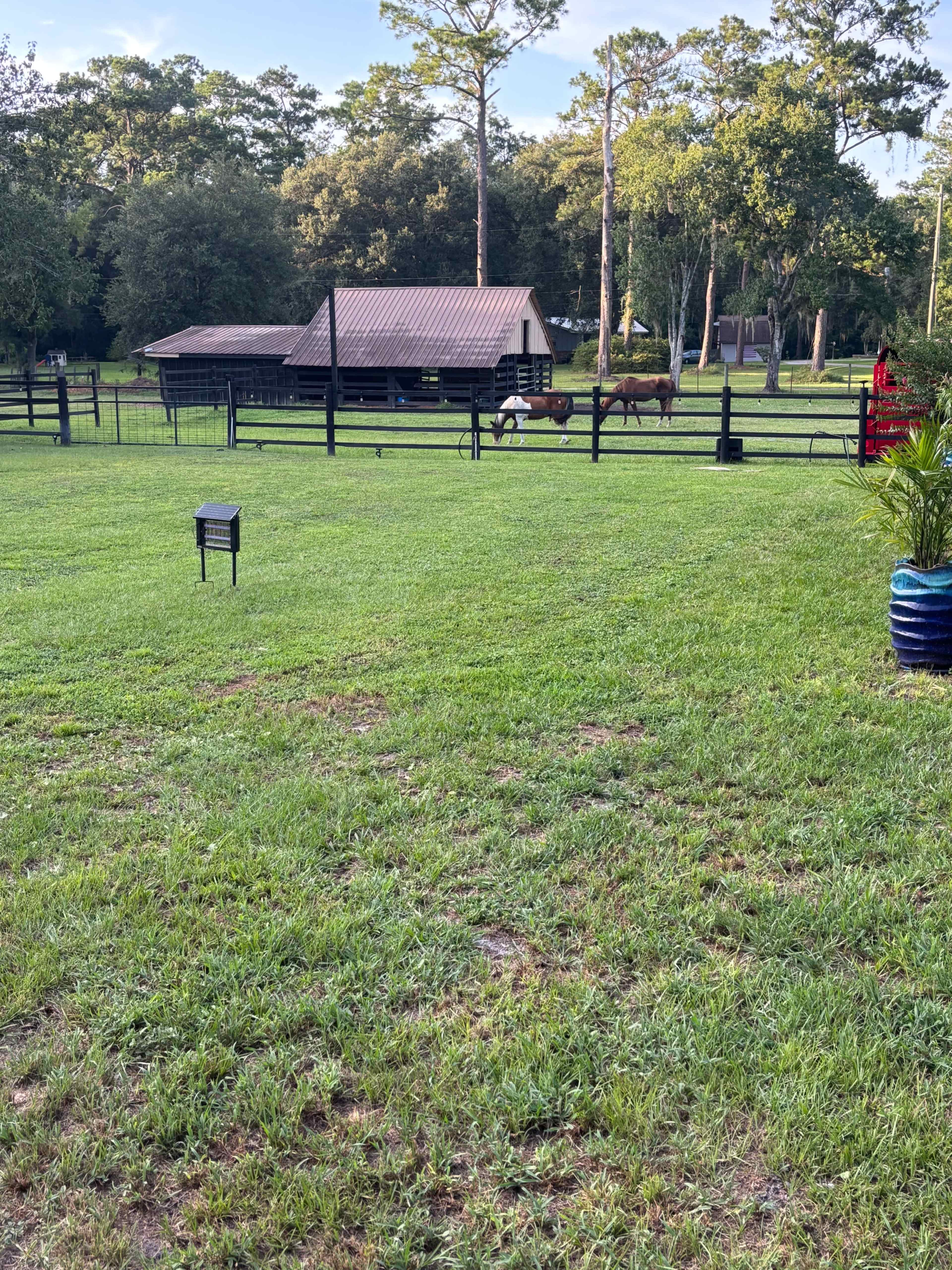 The image shows a grassy area with a black fence enclosing a barn and two horses in the background under a clear sky.