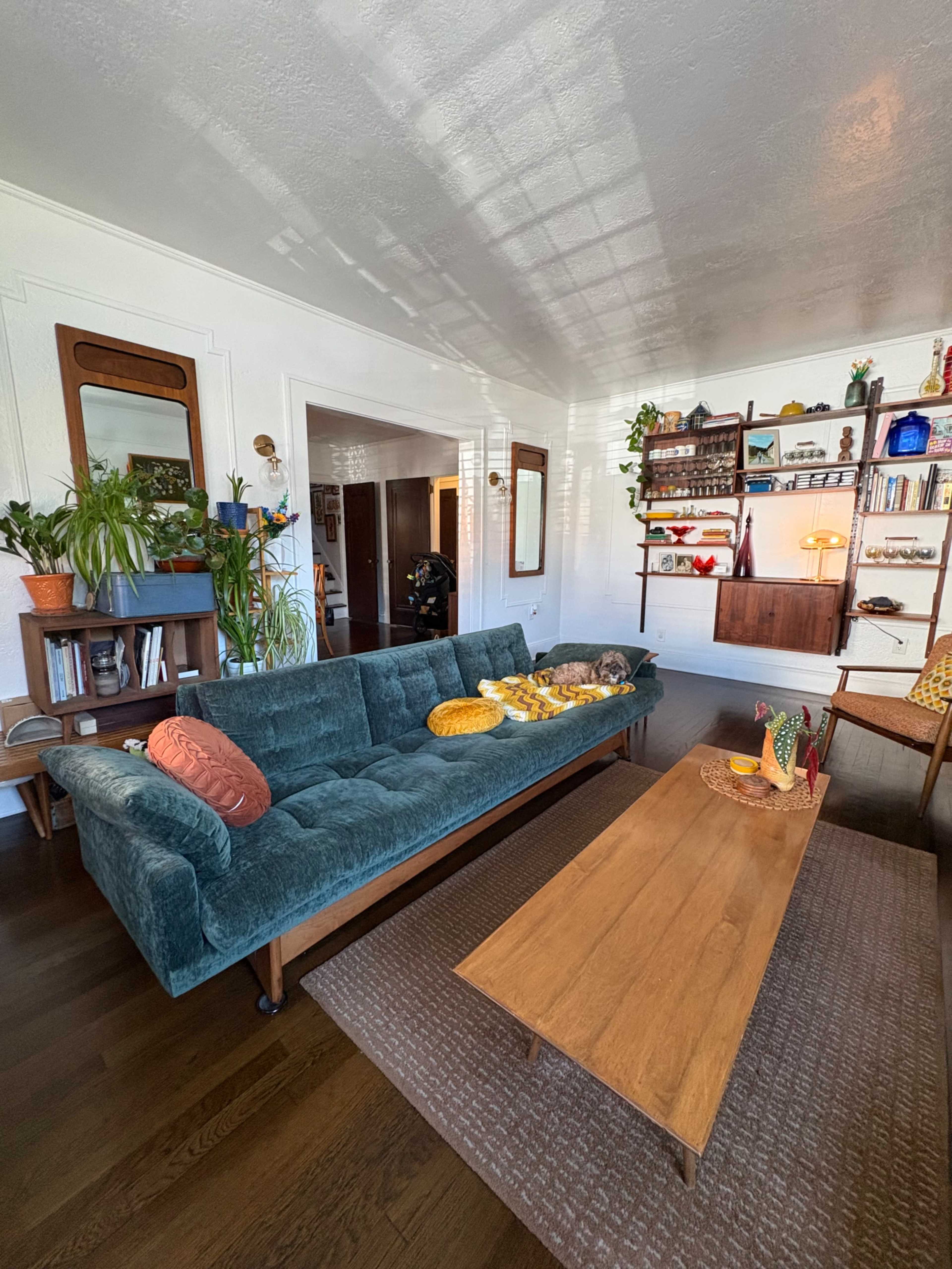The image shows a living room with a teal couch, a wooden coffee table, and shelves filled with various plants and decorative items.
