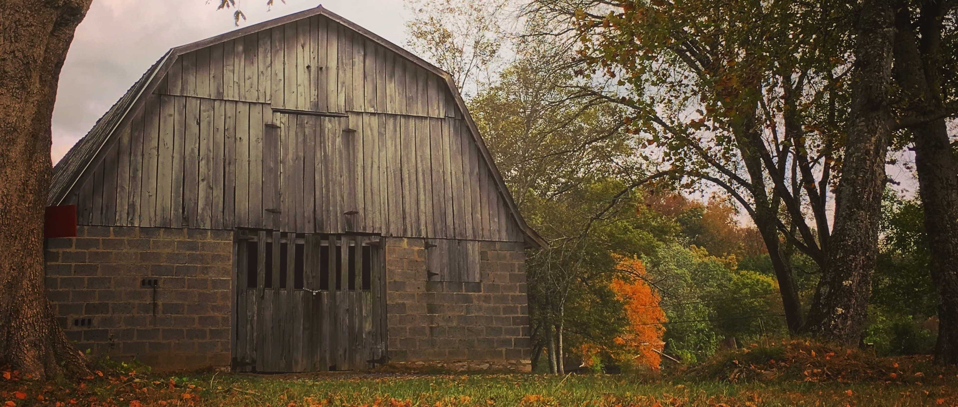 A weathered wooden barn stands beside a stone foundation, surrounded by trees with changing foliage.